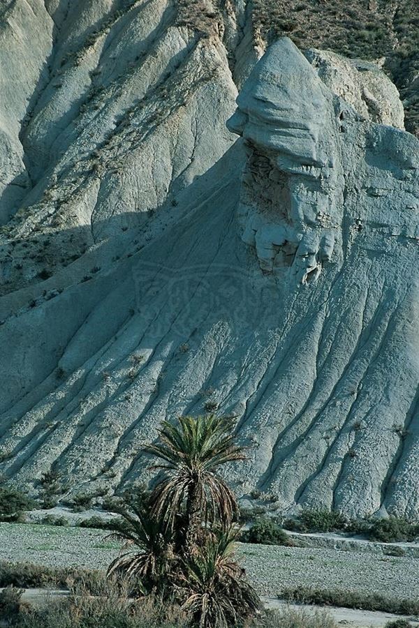 EM Collection, titled "Desert", 2001. Spain: Andalusia, rock formations and palm trees in the foreground, slide 1/8, 30x45, Cibachrome print directly from the slide, 40x55 forex 10mm, Contouring white, cardboard, cover edges volcanic sand
