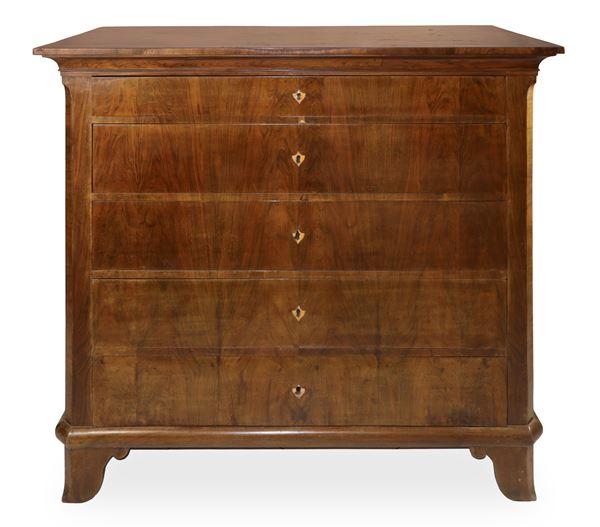 Chest of drawers with 5 drawers in wood and walnut root 
