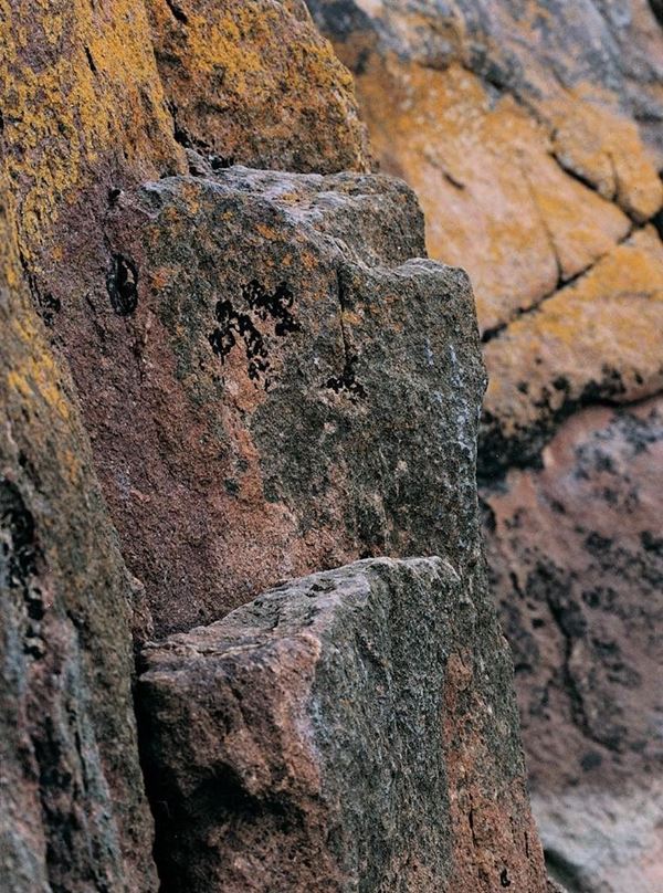 Collection EM, titled "Lichens (Stone)", 2002. France: detail of basalt stone with yellow lichen, greens and blacks, color negative 1/8, 30x45, printing from color negative on Kodak photo paper, 40x55 forex 10mm, Contouring white, cardboard, edges coating volcanic sand