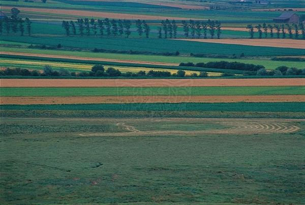 Collezione EM, titolo "Lines from Mt. St Michel", anno 2002. Francia: vista su campi coltivati da Mont St. Michel , diapositiva  1 / 8 , 30x45, CIBACHROME stampa diretta da diapositiva , 40x55 forex 10mm, perfilo bianco, cartoncino, bordi rivestimento sabbia vulcanica 