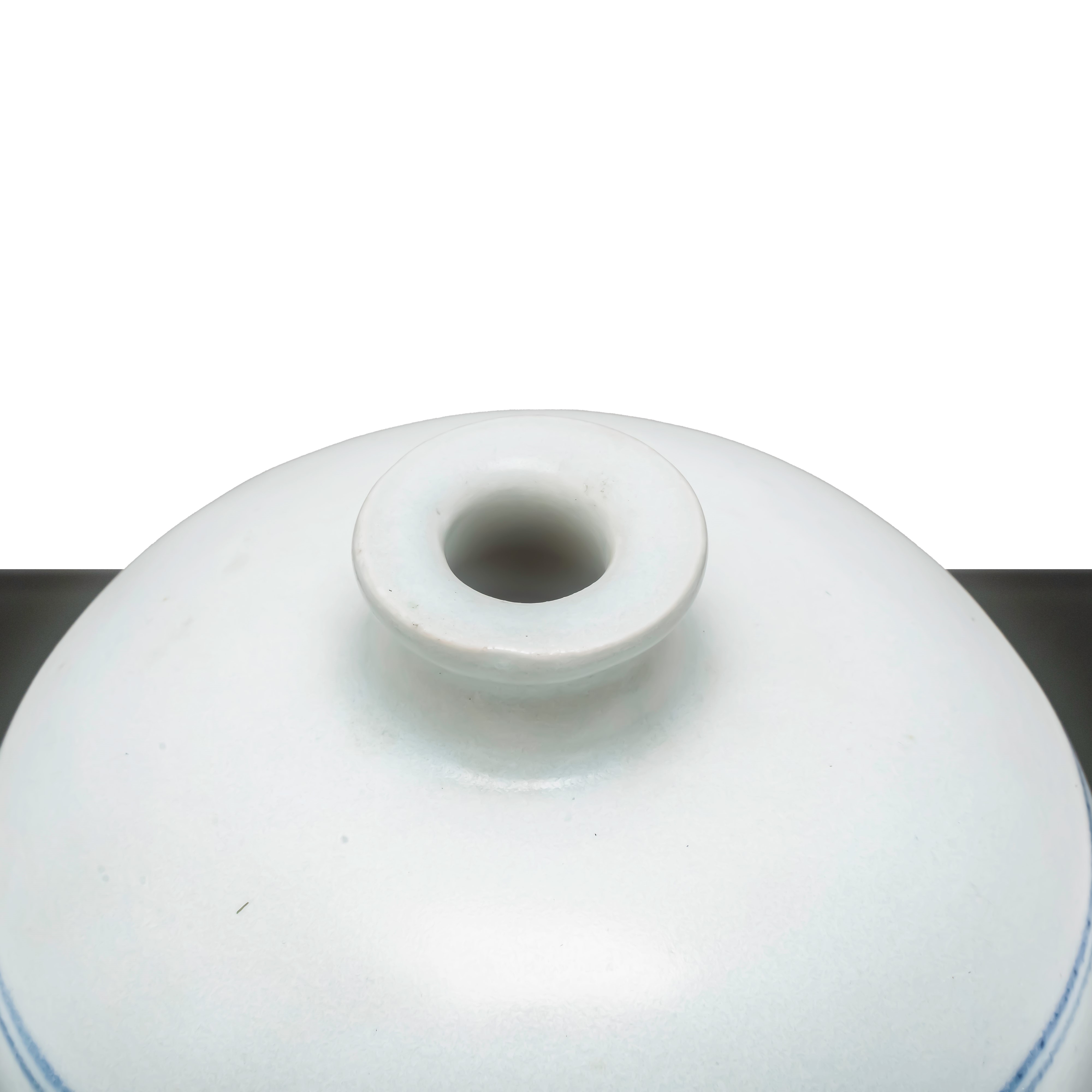 Vaso cinese blu e bianco con decoro di pesci