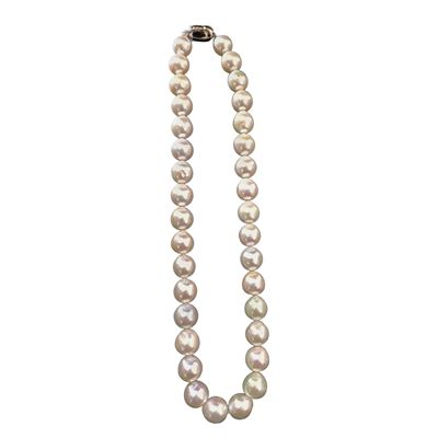 Collana in Perle Naturali Cinesi con Susta in Metallo Argentato