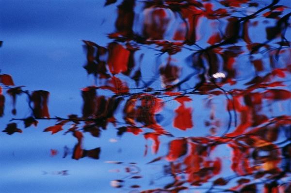 Collezione "ACQUA DI SCORTA", anno 2006, diapositiva, 30x45, stampa digitale Fine Art su carta fotografica mat , USA: NJ, Residenza per artisti ad I-Park, riflesso di foglie rosse su lago blu, dettaglio