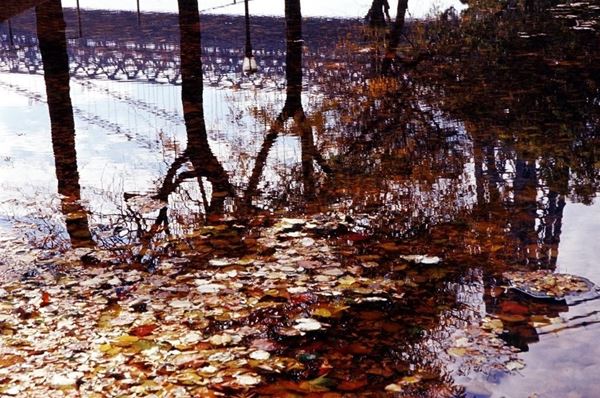 Collezione "ACQUA DI SCORTA", anno 2006, diapositiva, 30x48, stampa digitale Fine Art su carta fotografica mat , USA: NYC, Riflesso del ponte di Manhattan su pozzanghera di acqua piovana
