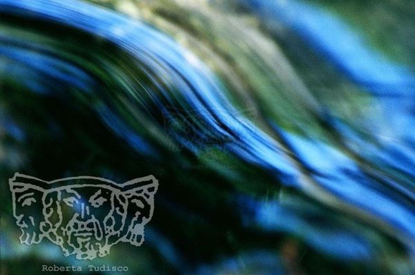 Collection "SPARE WATER", 2007, slide, 30x54, Digital Fine Art print on photo paper mat, Sicily: Blue and green wave, detail