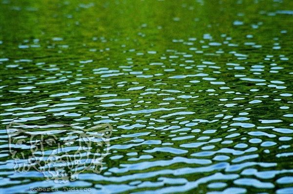 Collection "WATER SPARE", 2005, slide, 30x56, Digital Fine Art print on photo paper mat, Brazil: blue hues of sea green