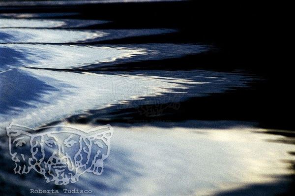 Collezione "ACQUA DI SCORTA", anno 2005, diapositiva, 30x57, stampa digitale Fine Art su carta fotografica mat , Brasile: onde grigio, azzurro e bianco su fiume nero