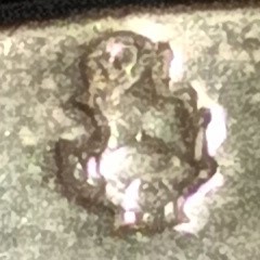 Calice in Argento