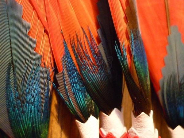 Collection "MAN MADE" 2014, digital, 31x41, Digital Fine Art print on photographic matte paper, Colombia: feather fan, detail