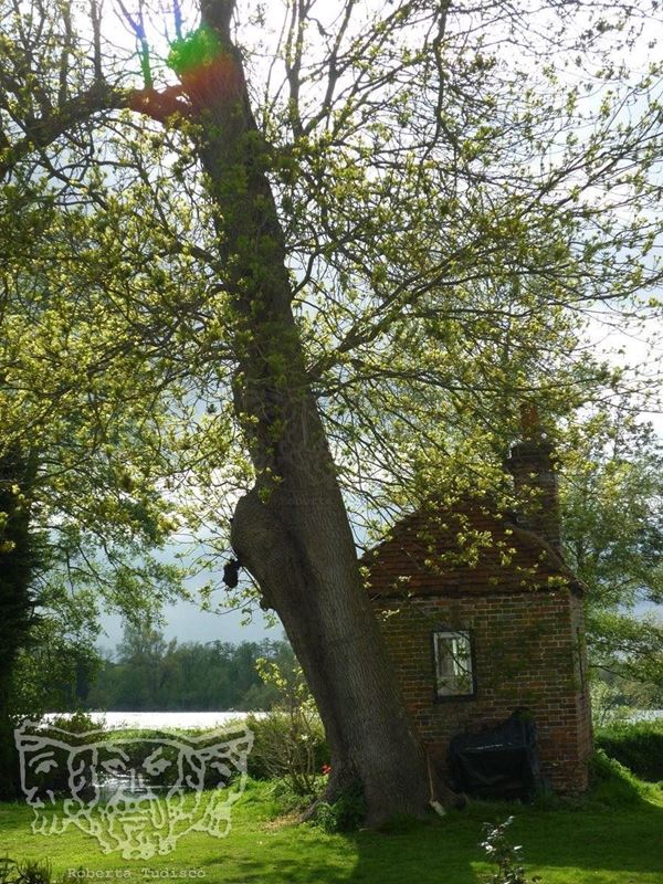 Collection "MAN MADE" 2009, digital, 31x46, Digital Fine Art print on photographic matte paper, London: small house with a tree view of the river, rainbow