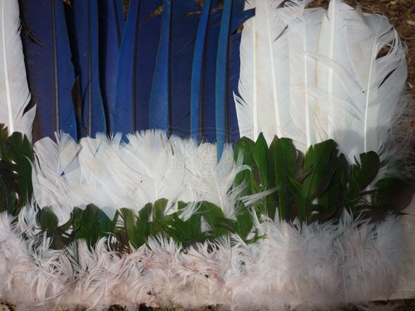 Collection "MAN MADE" 2014, digital, 31x49, Digital Fine Art print on photographic matte paper, Colombia: feather headdress, detail