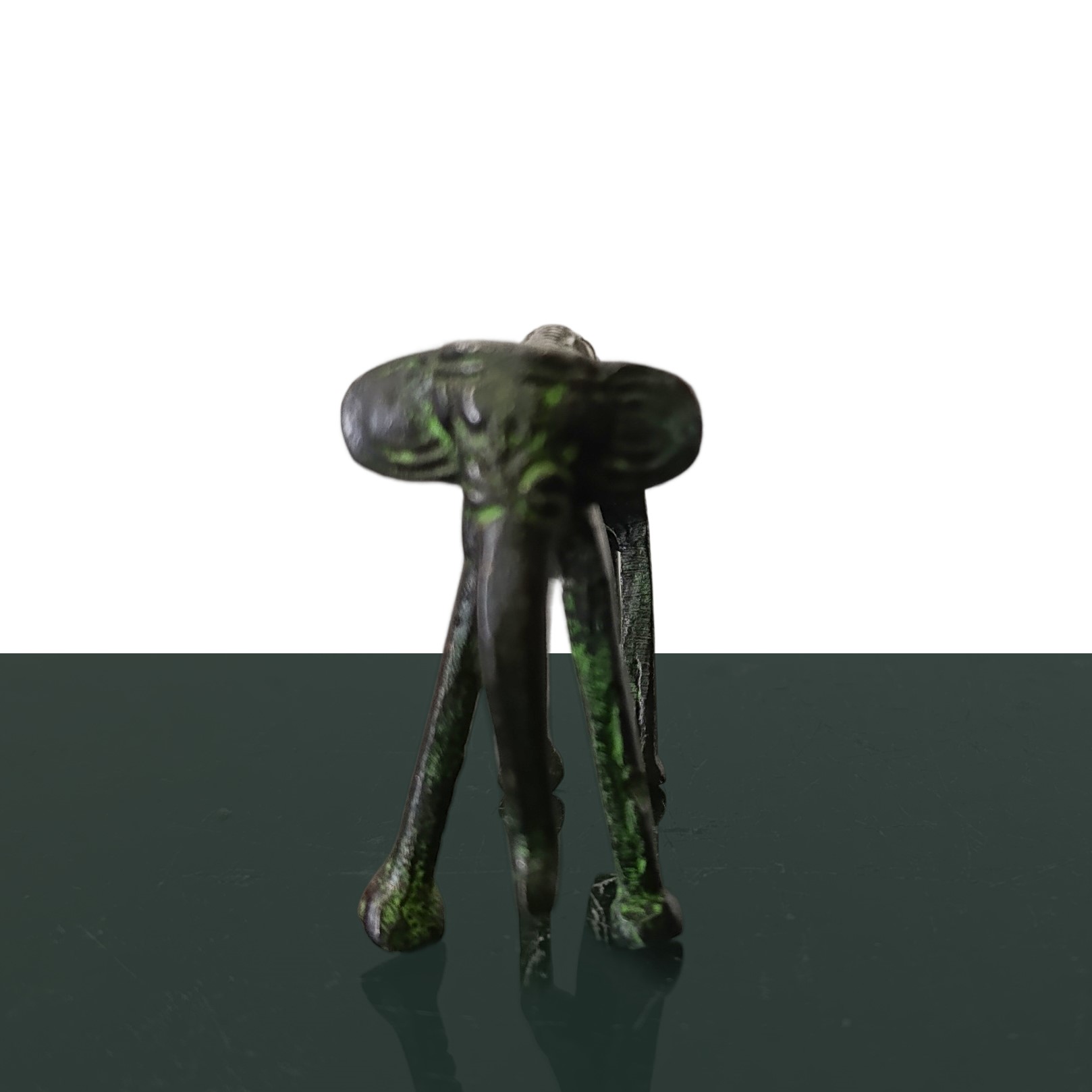 Coppia di animali tribù Kond (India)