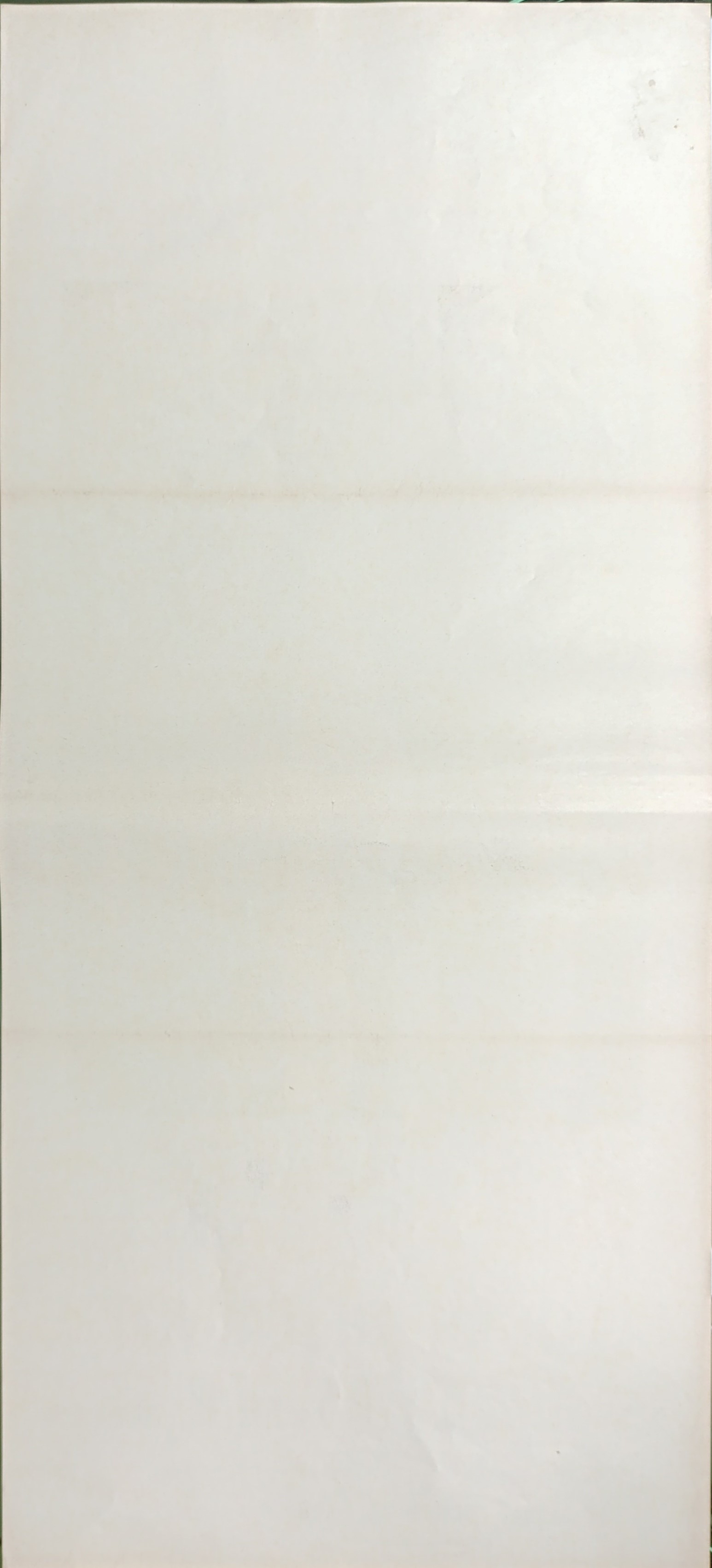 Gli occhi della notte