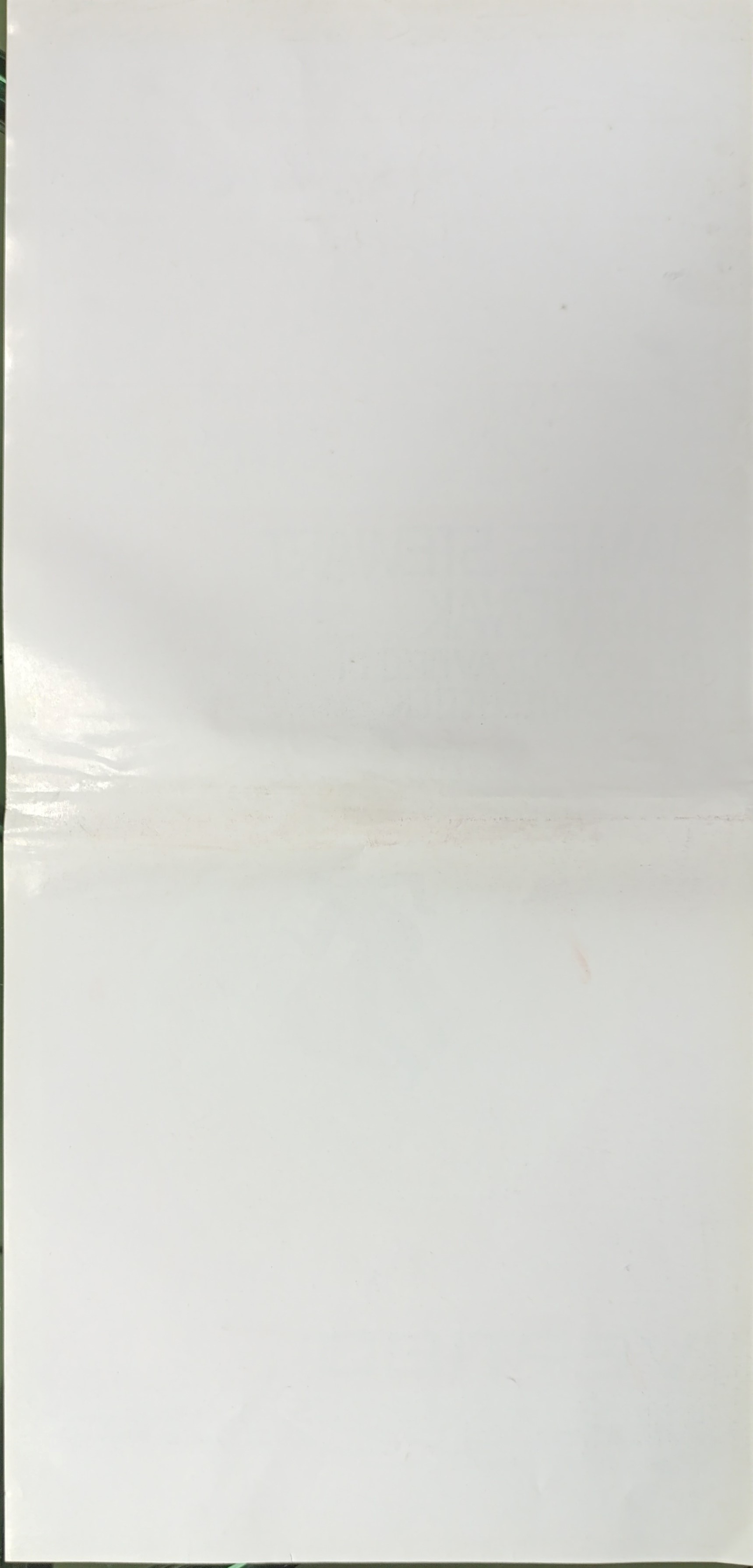 Vertigo, la donna che visse due volte,