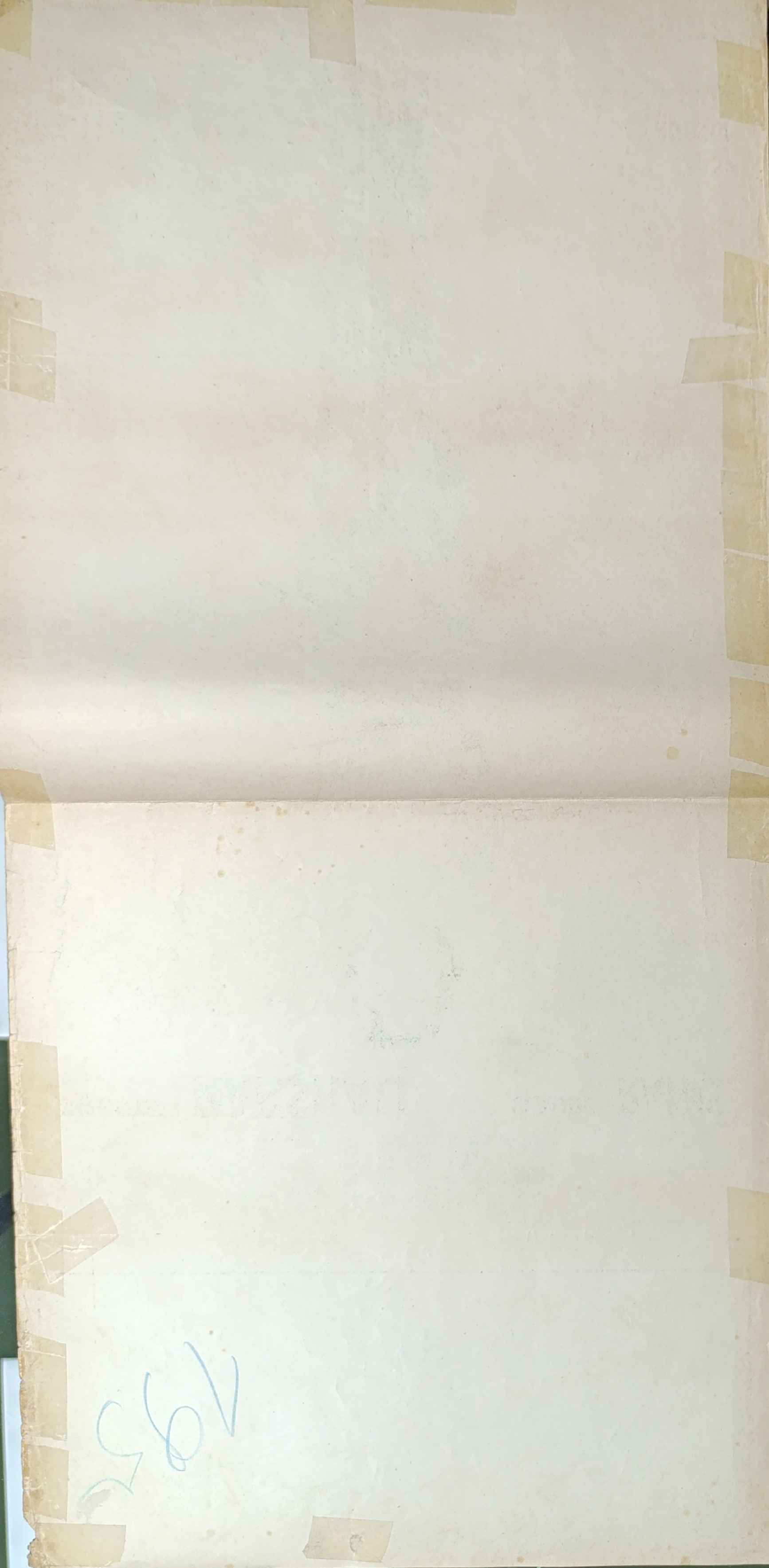 Lo sparviero del mare