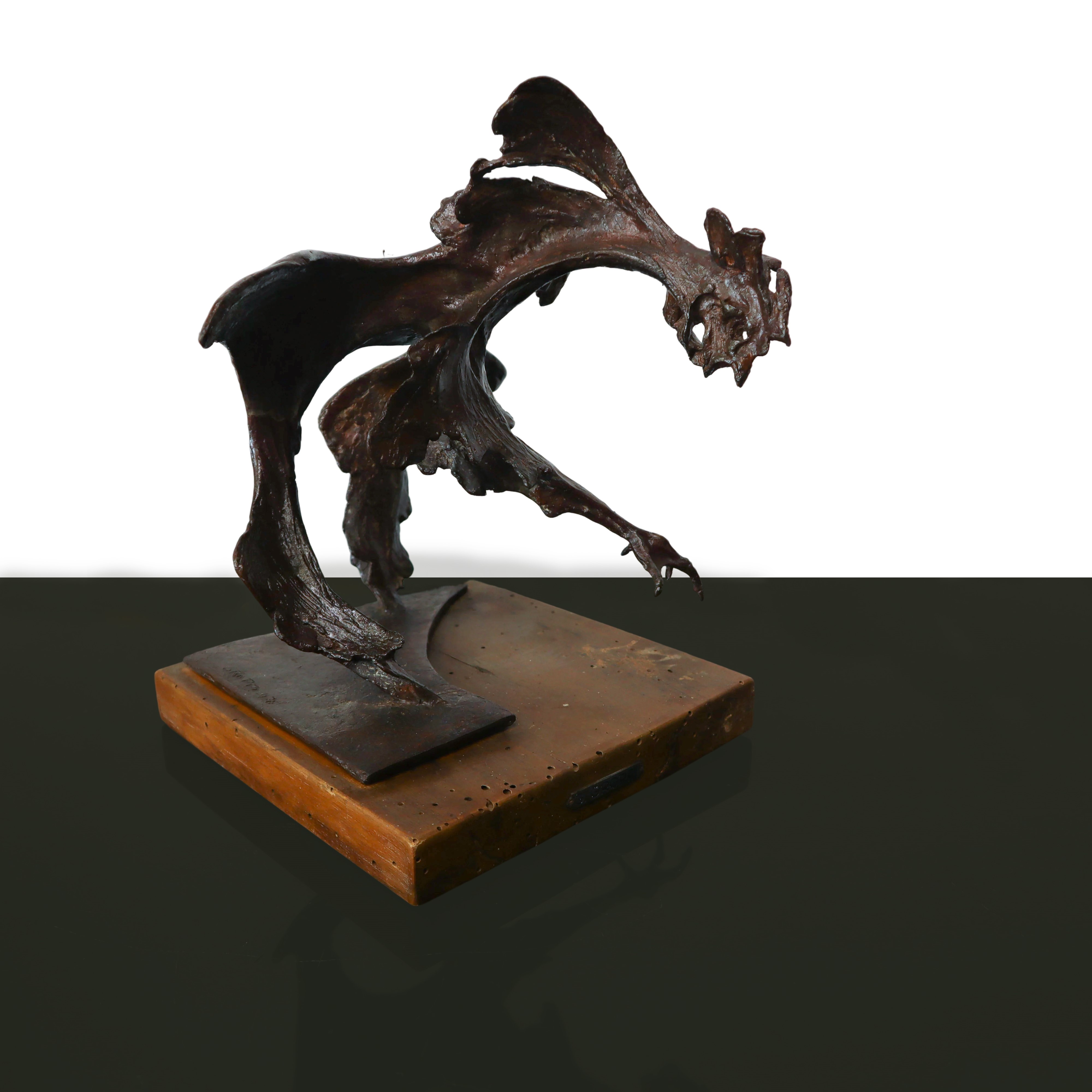 Giorgio Groppi - Gallo da Combattimento