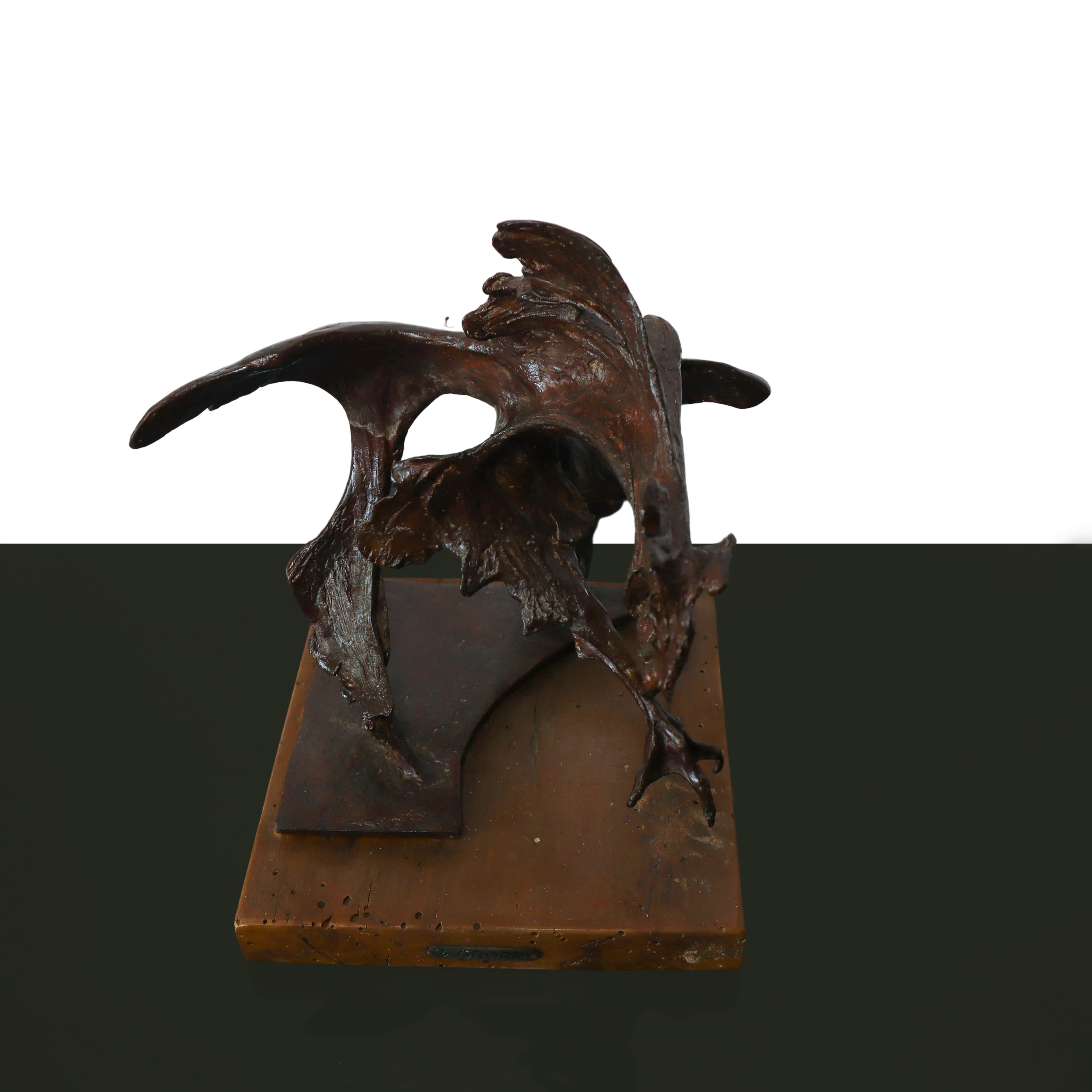 Giorgio Groppi - Gallo da Combattimento