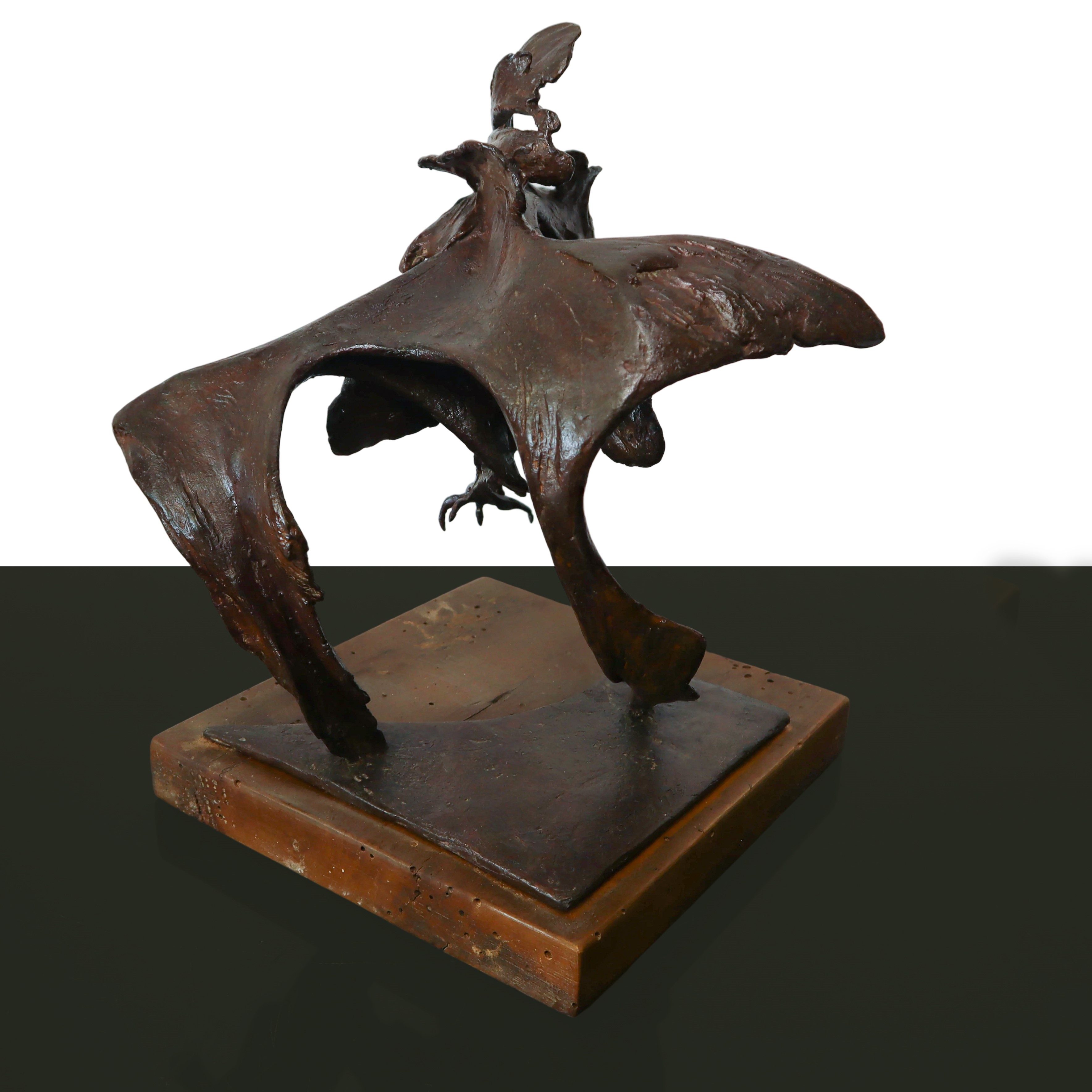 Giorgio Groppi - Gallo da Combattimento