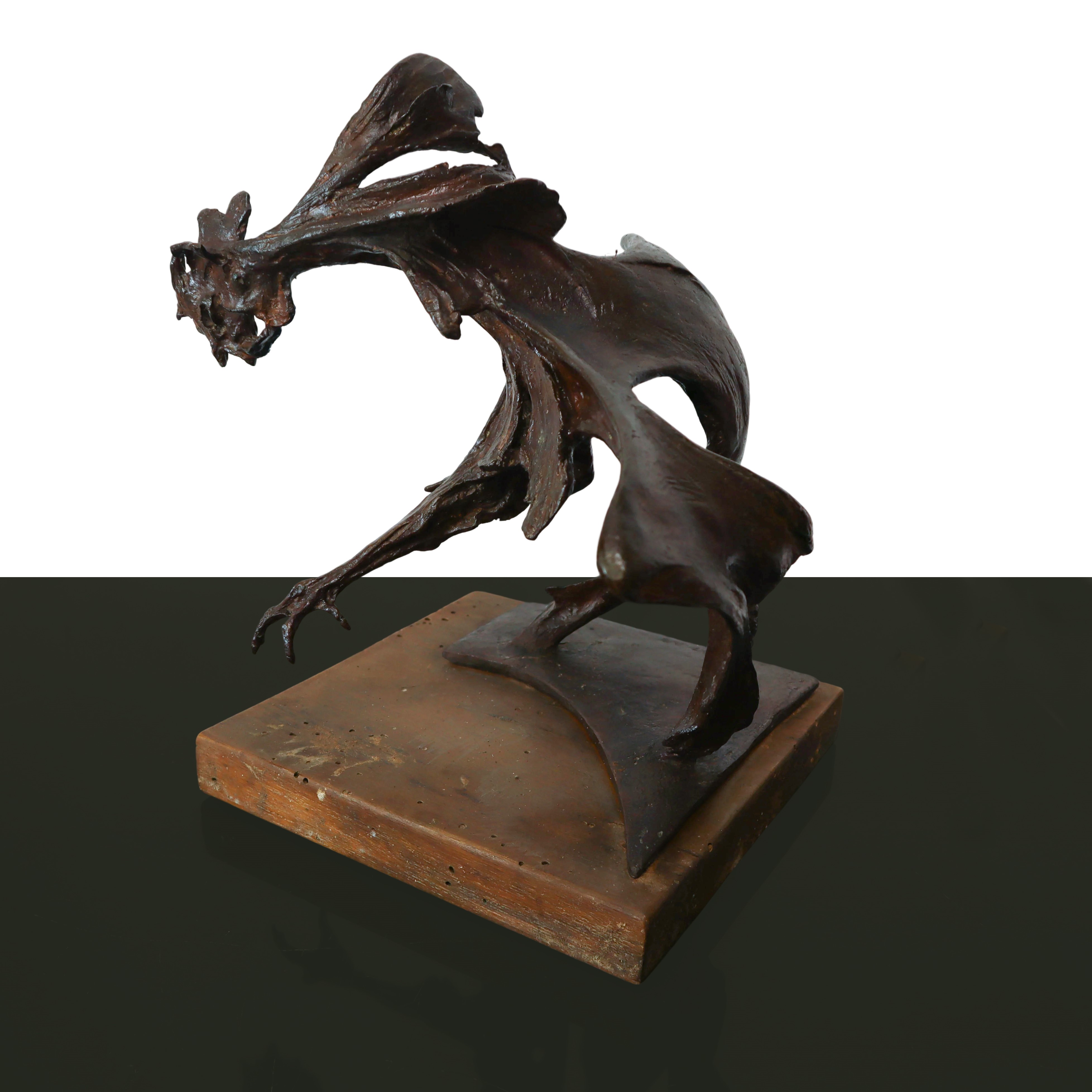 Giorgio Groppi - Gallo da Combattimento
