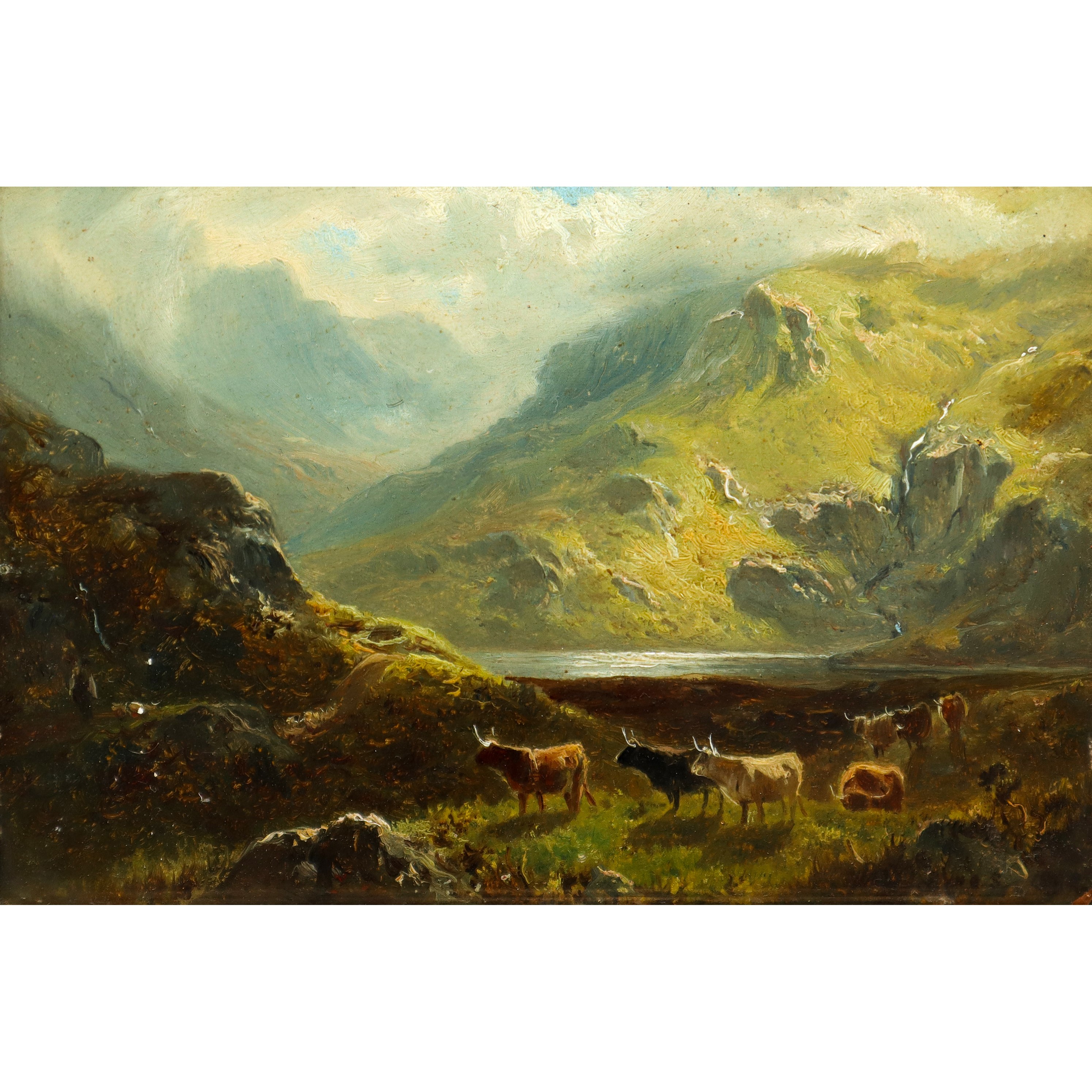 Paesaggio montano con lago e animali