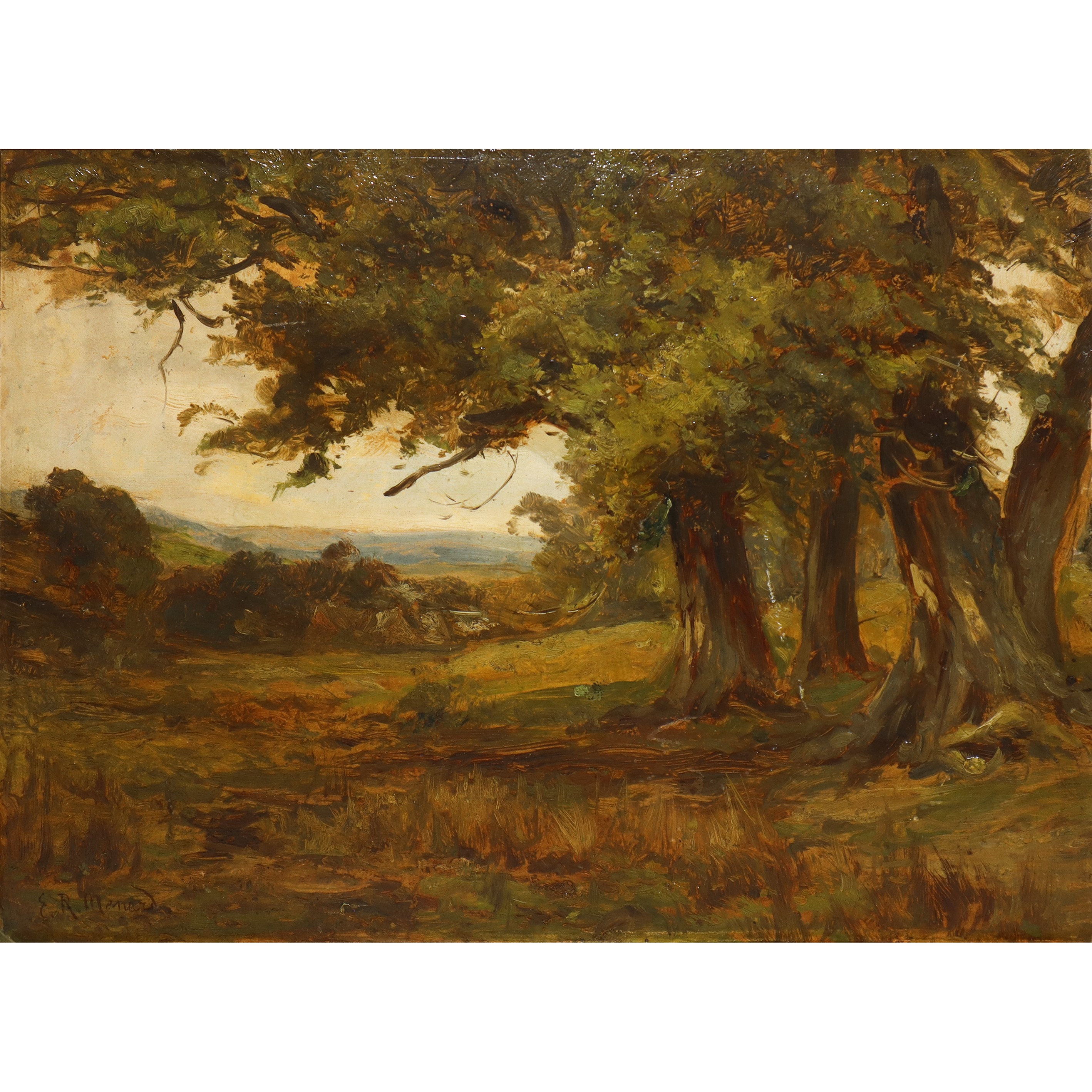 Paesaggio agreste con alberi