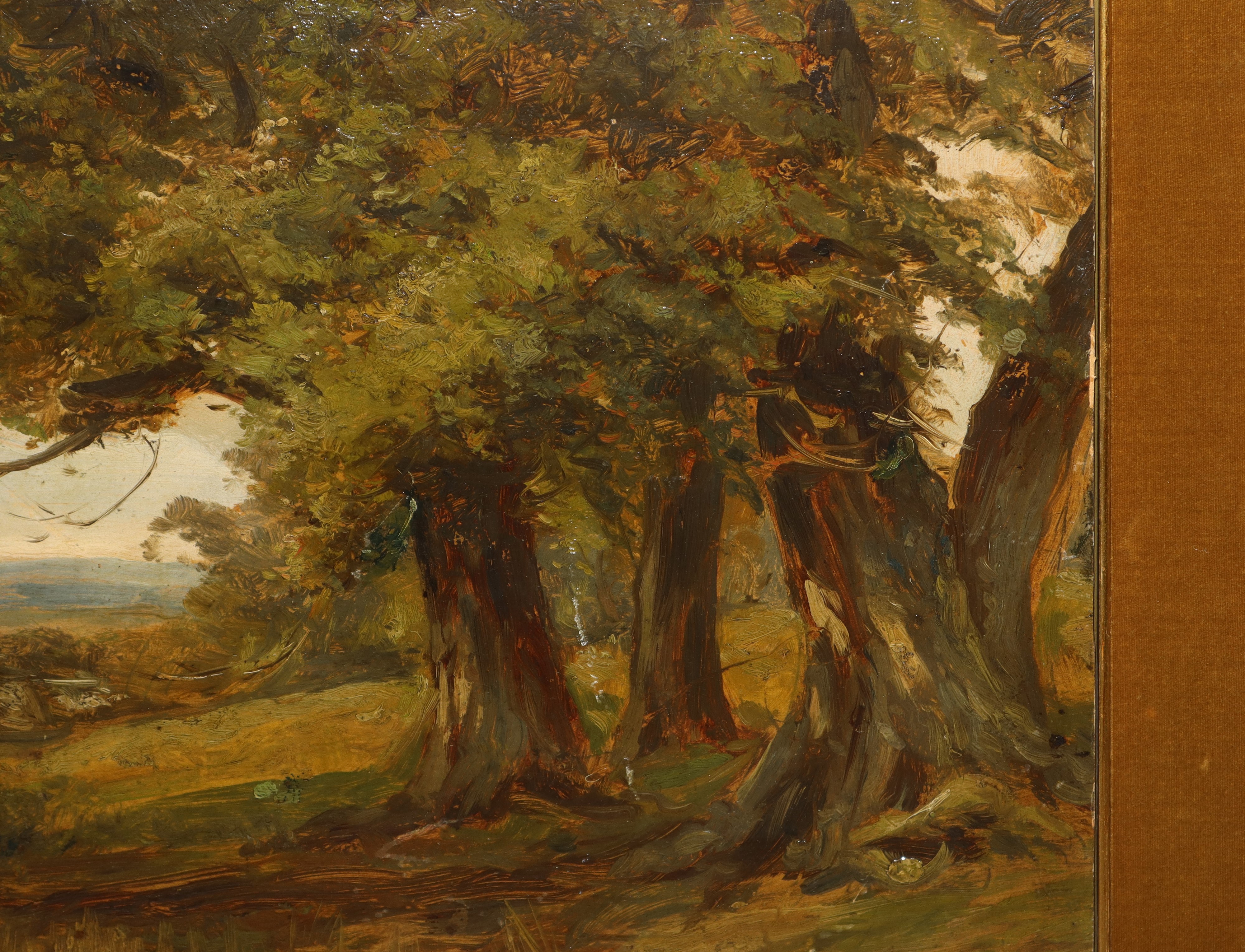 Paesaggio agreste con alberi