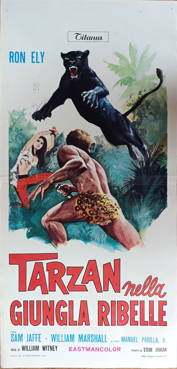 Tarzan in the rebel jungle
