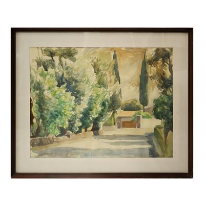 Strada con Alberi