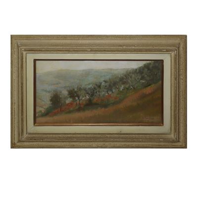 Ulivi (paesaggio di Chianciano)