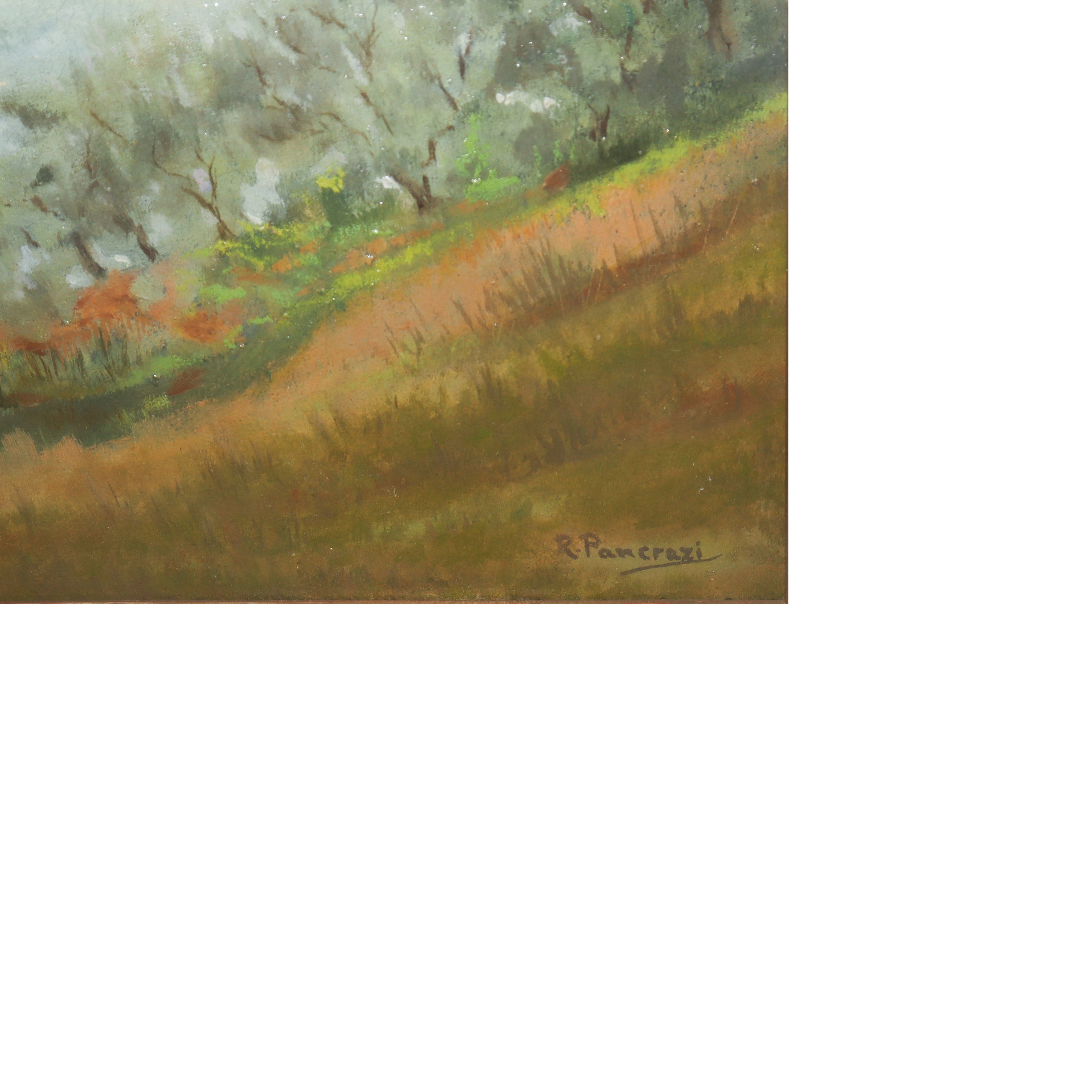 R. Pancrazi - Ulivi (paesaggio di Chianciano)