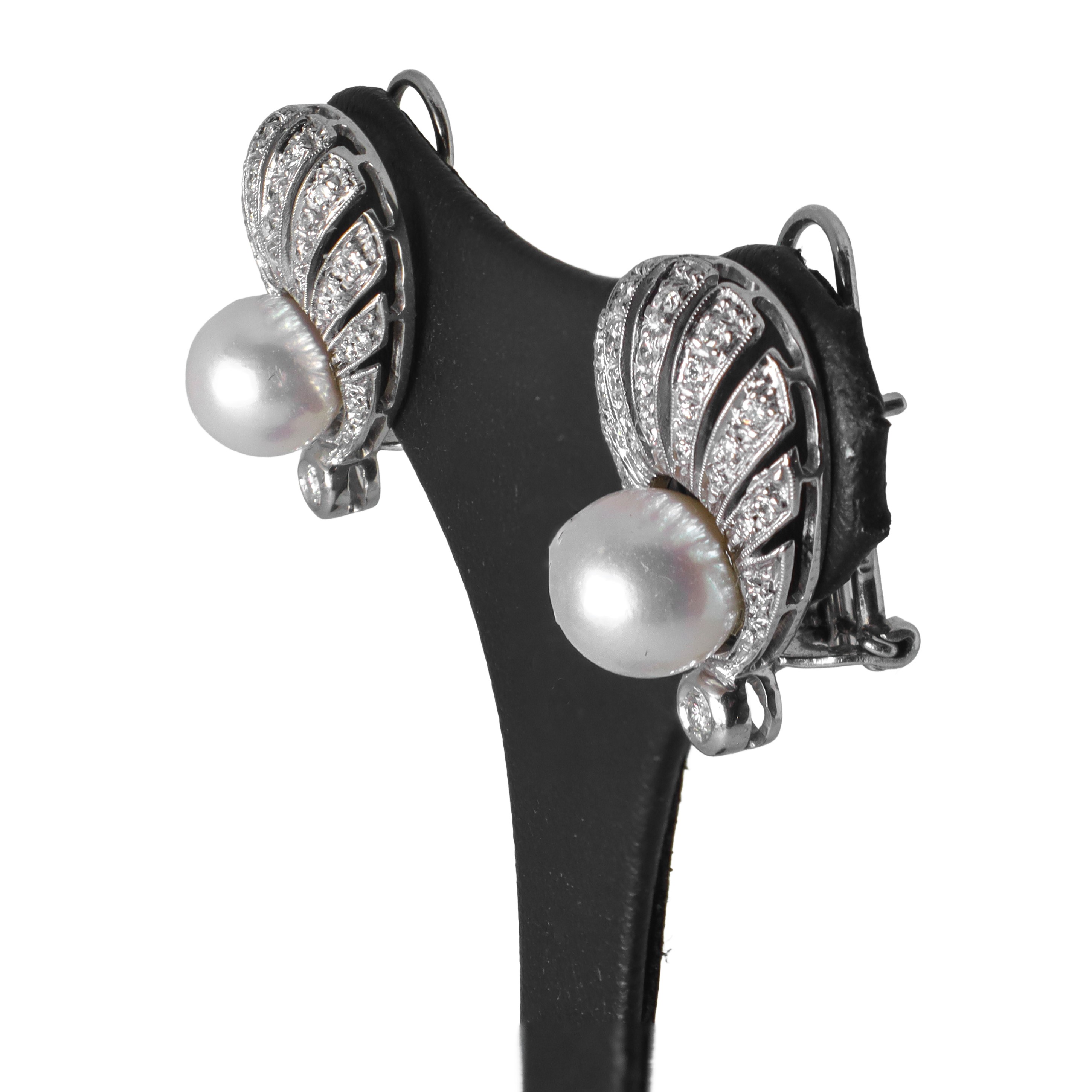 Orecchini in oro bianco 18 kt e perle giapponesi