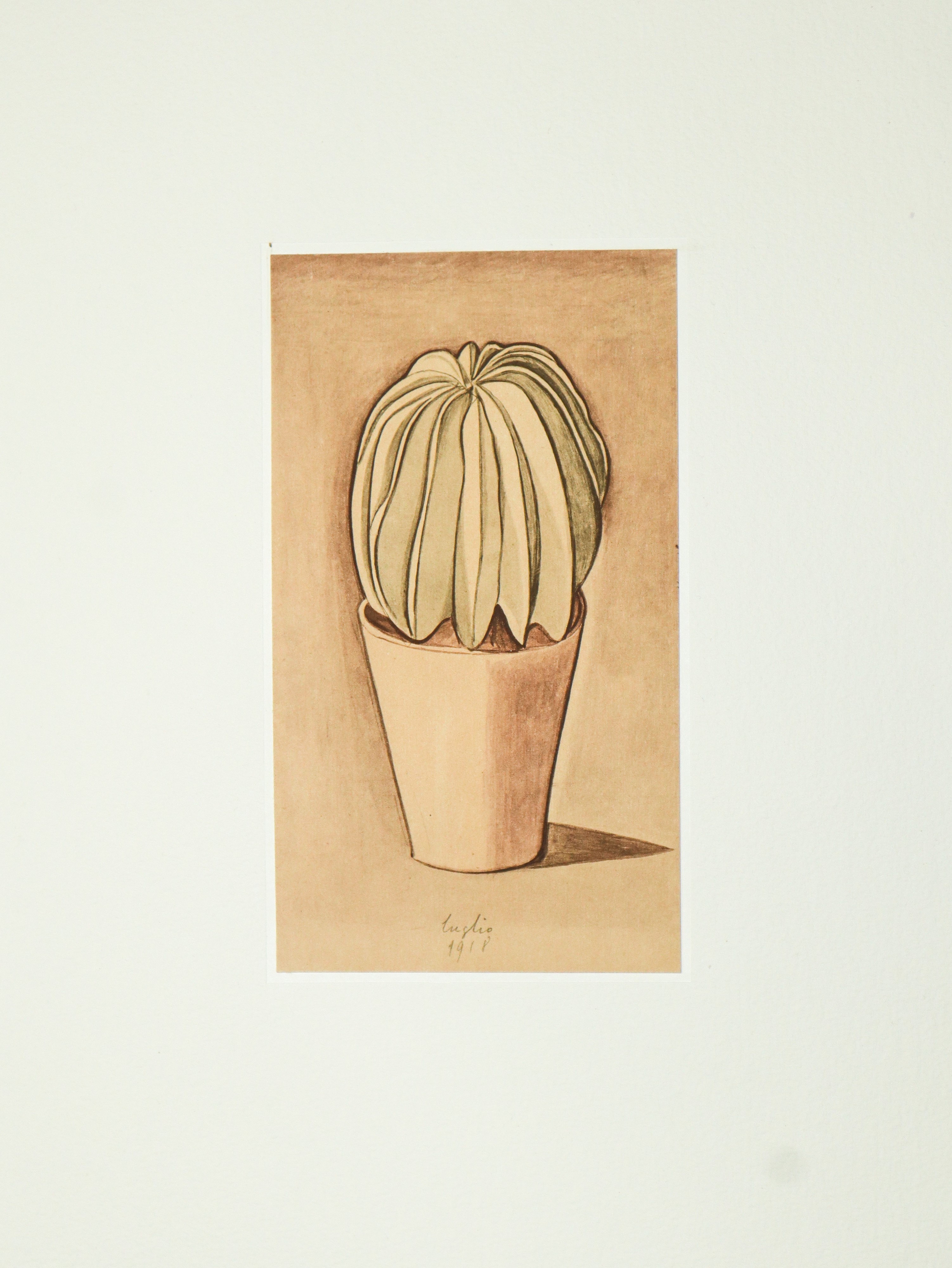 Giorgio Morandi, Valerio Zurlini - N°2 Volumi Edizione Trec