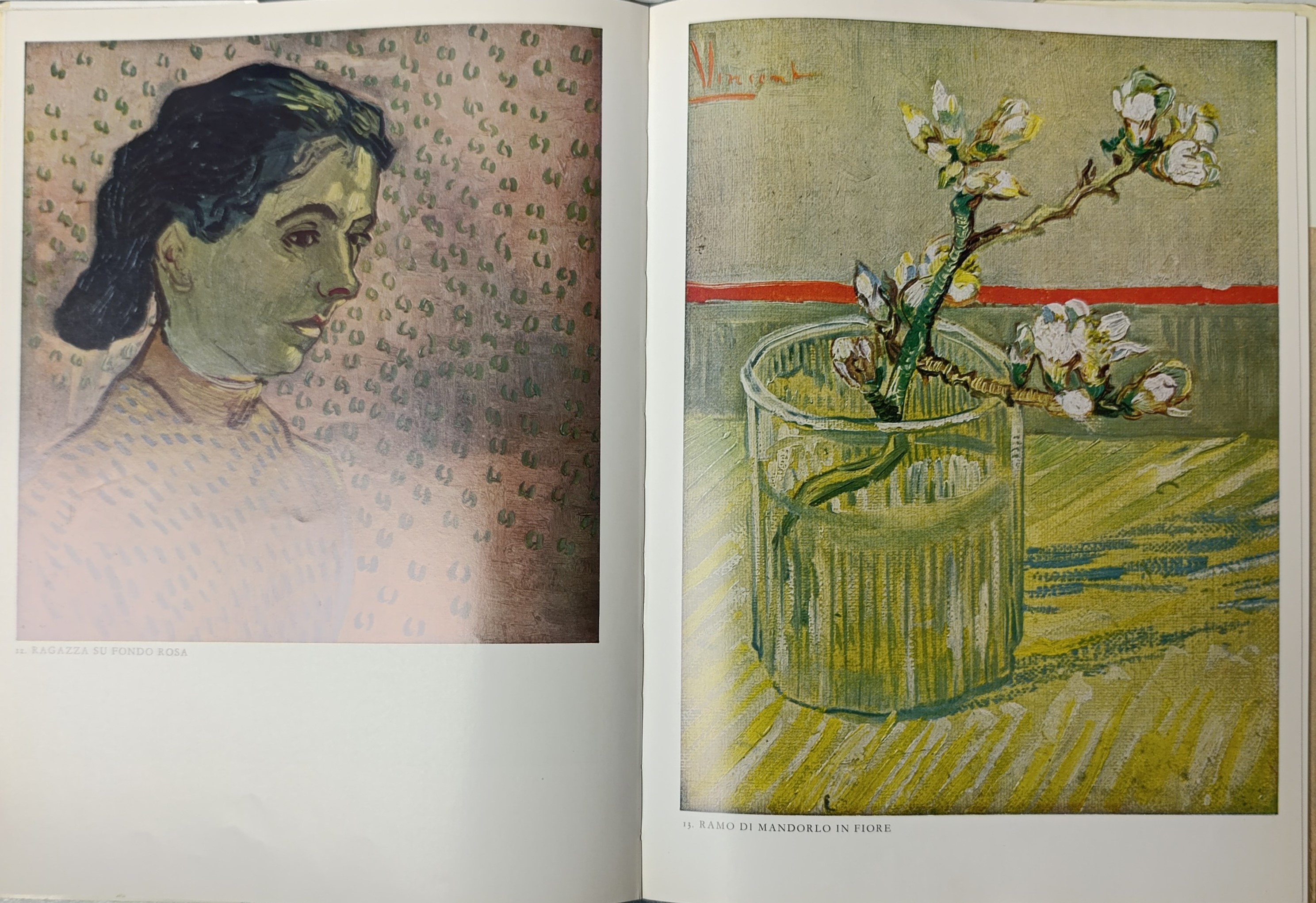 Vincent Van Gogh , cinquanta tavole a colori