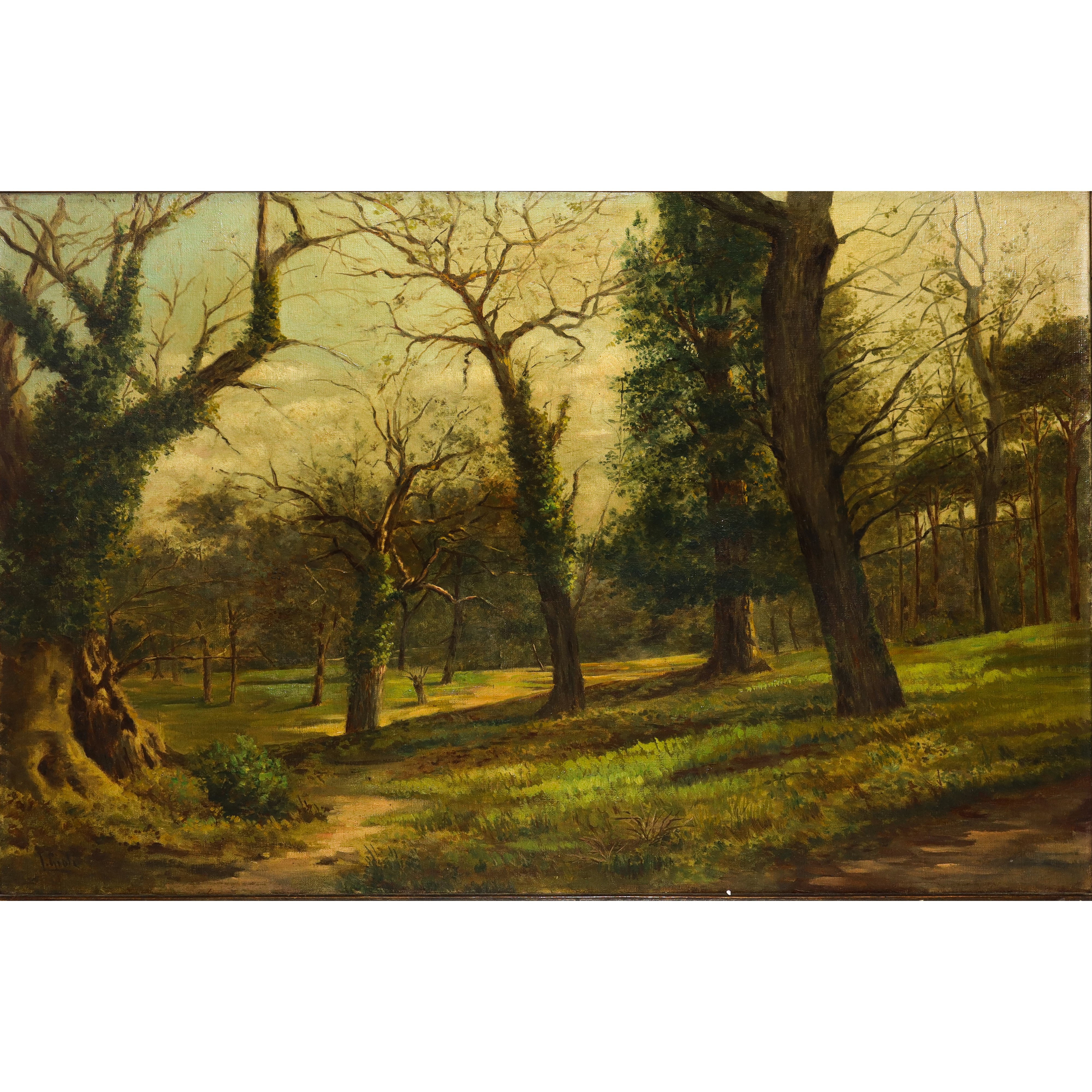 Paesaggio con alberi