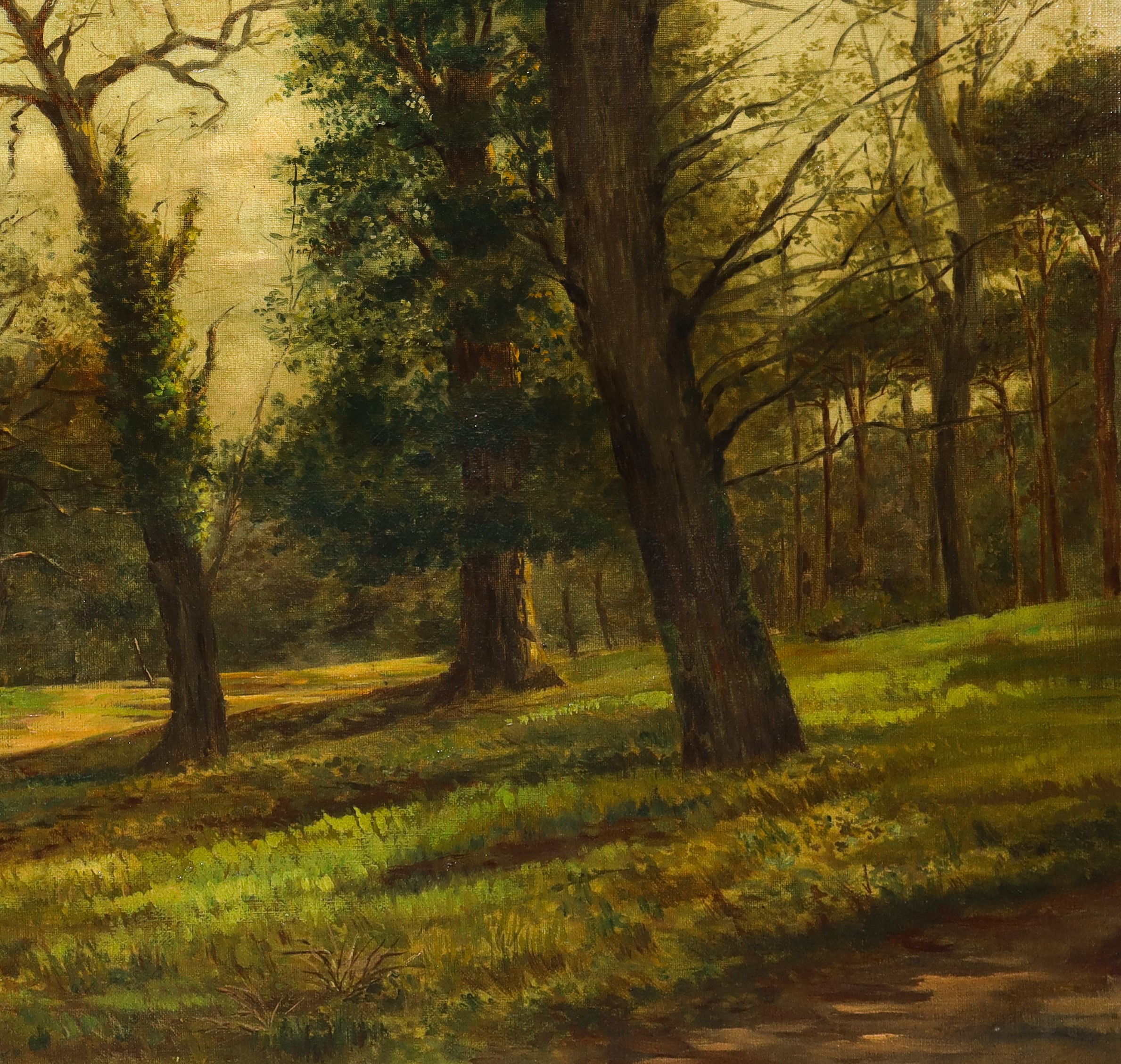 Paesaggio con alberi