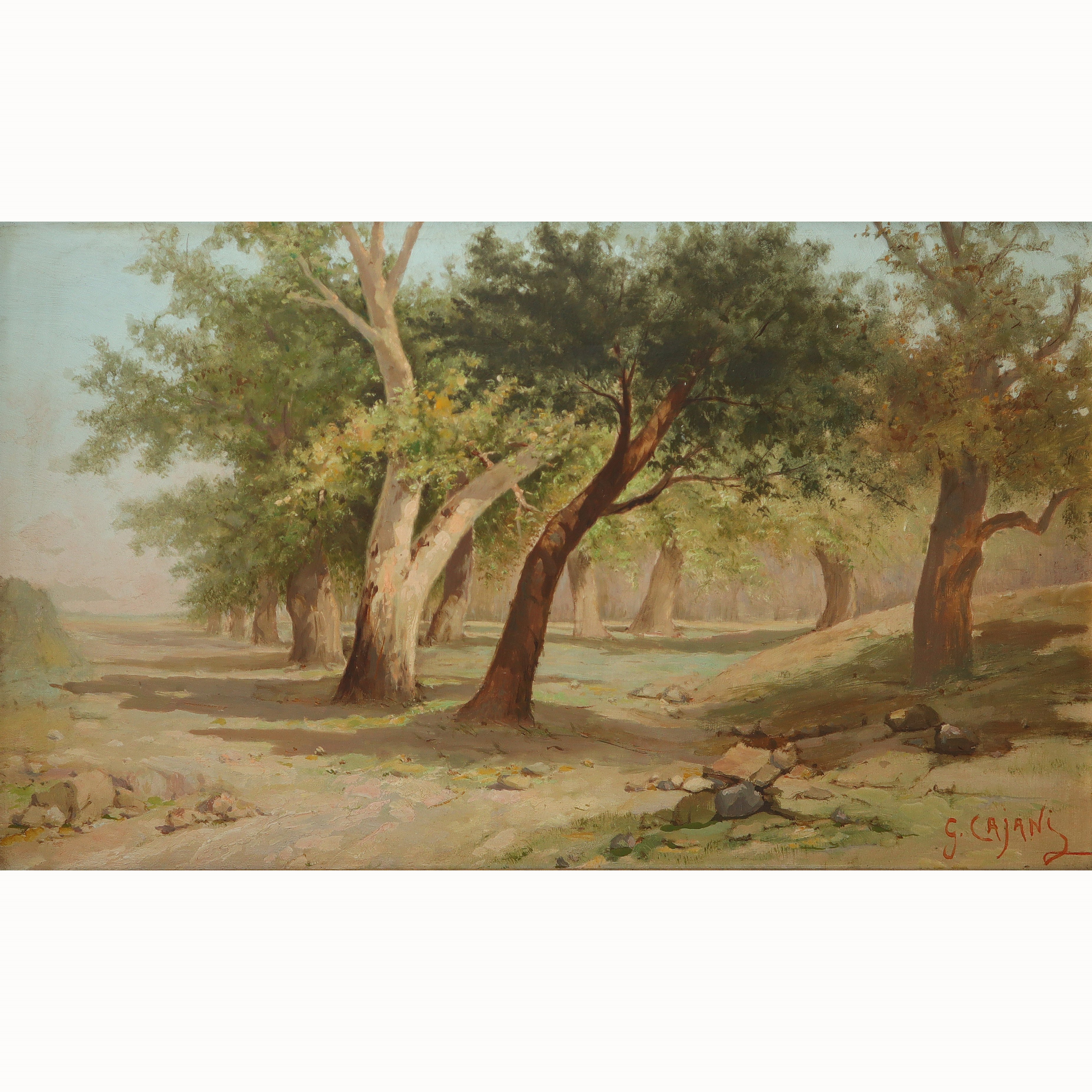 Gaetano Cajani - Paesaggio con Alberi