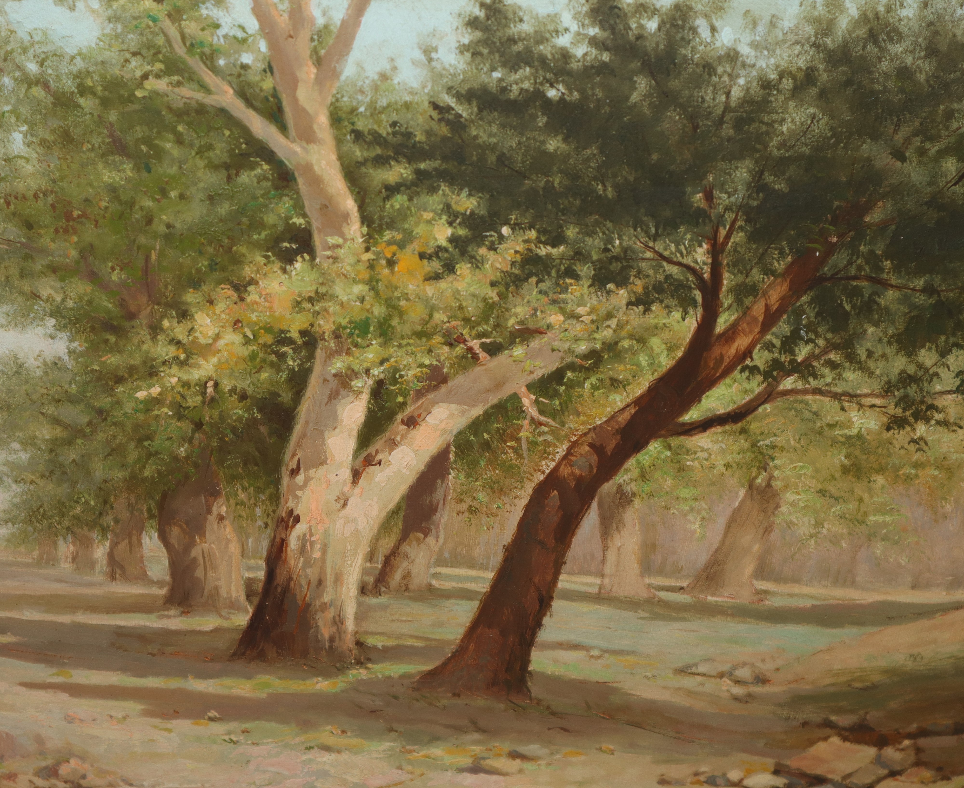 Gaetano Cajani - Paesaggio con Alberi