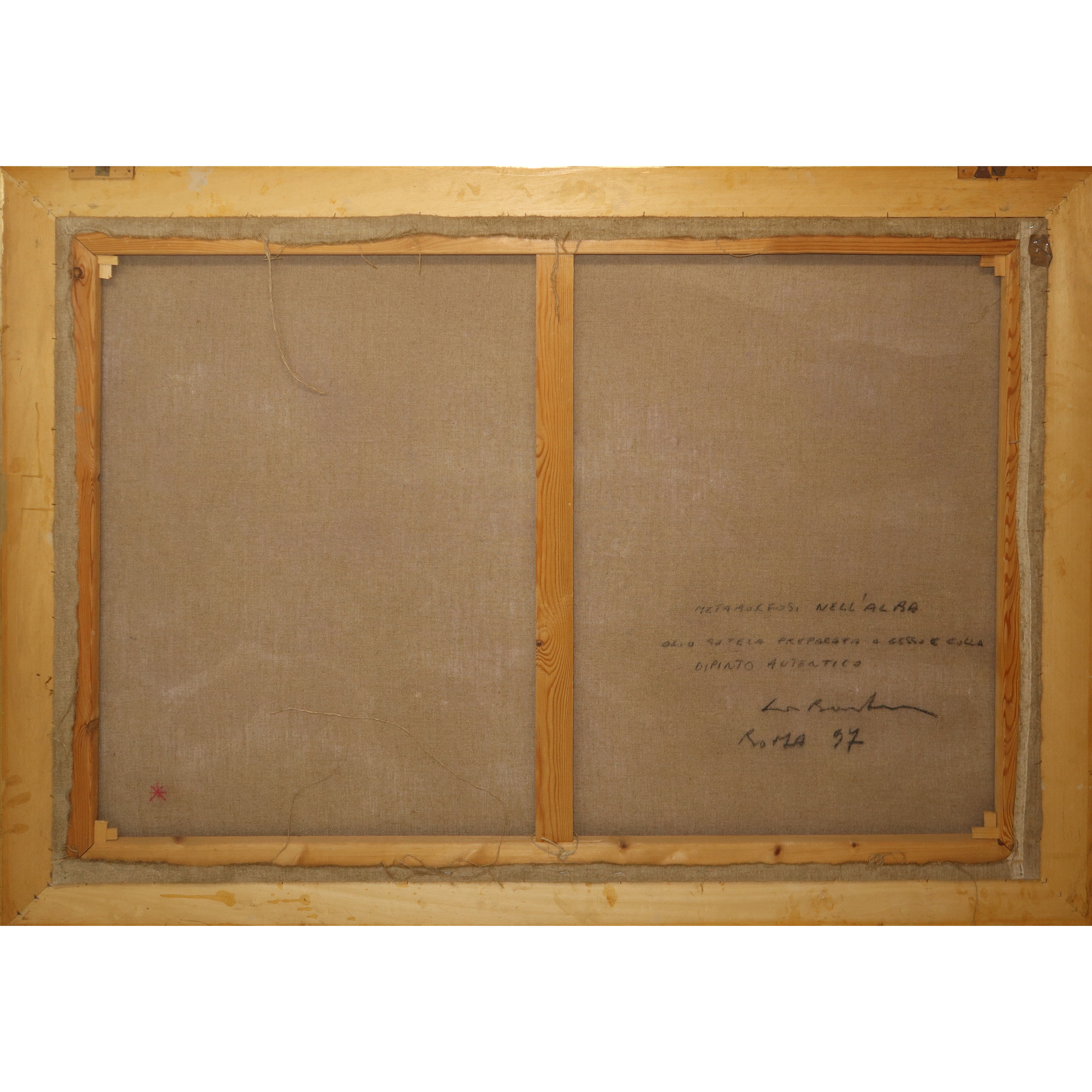 Metamorfosi all'alba