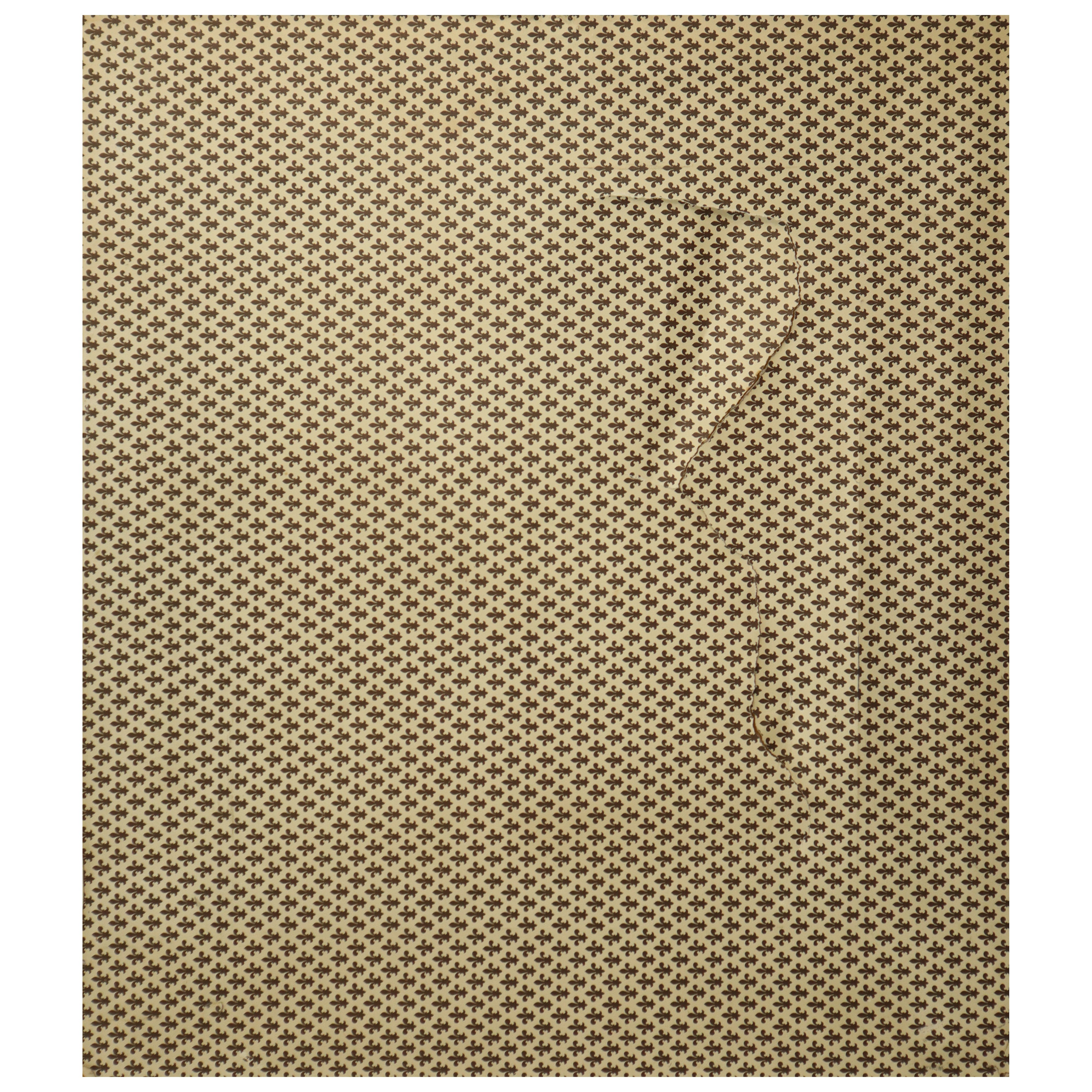 Natura morta di frutti con specchio