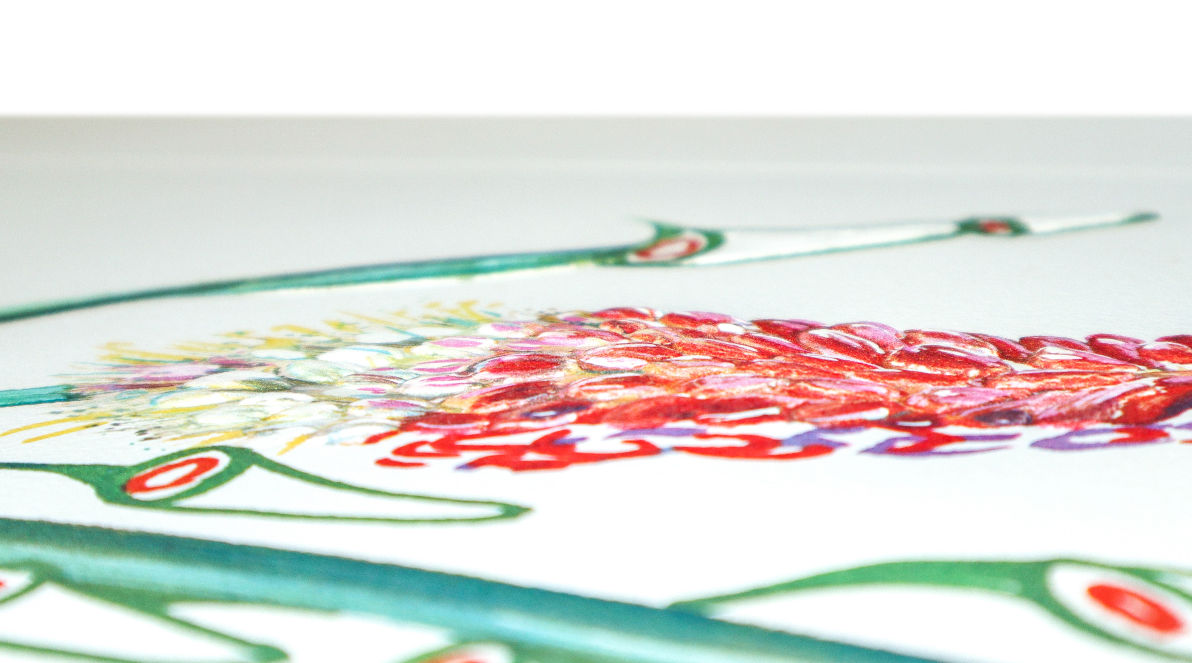 Fiori surrealisti: kniphofia apfrodisiaca