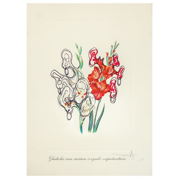 Salvador Dal&#236; - Surrealist flowers: Gladiolus cum aurium corymbo expectantium 