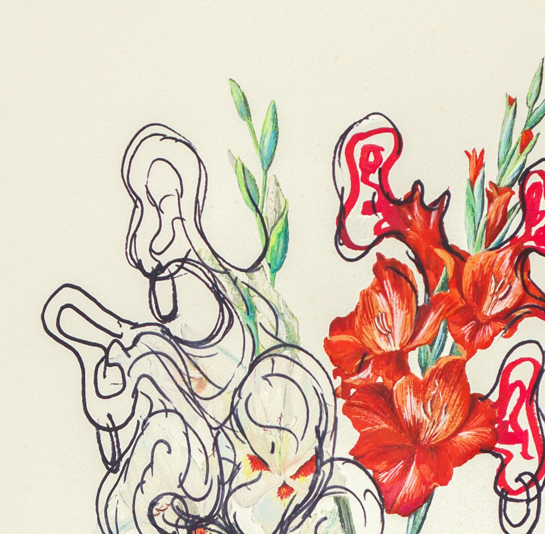 Fiori surrealisti: Gladiolus cum aurium corymbo expectantium