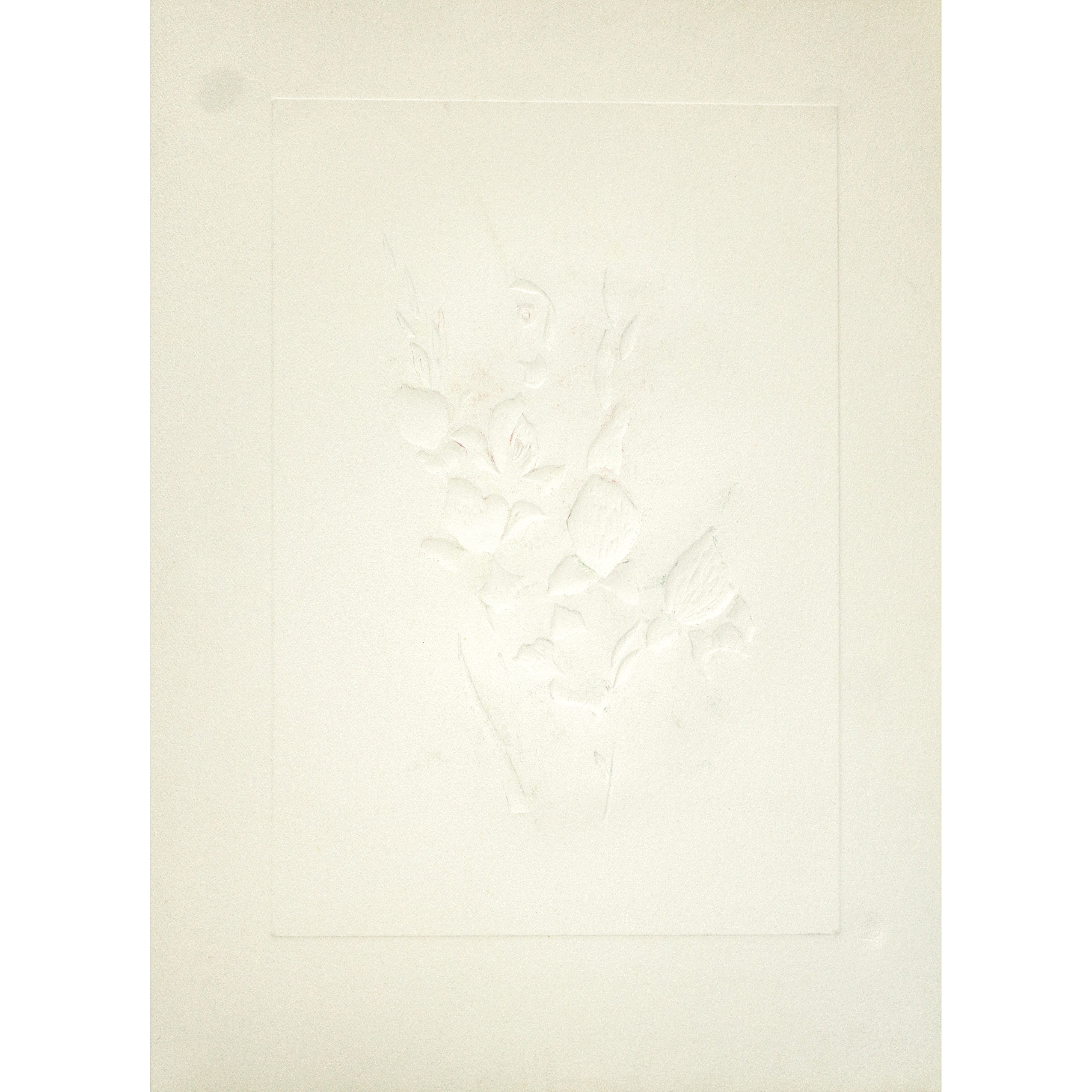 Fiori surrealisti: Gladiolus cum aurium corymbo expectantium