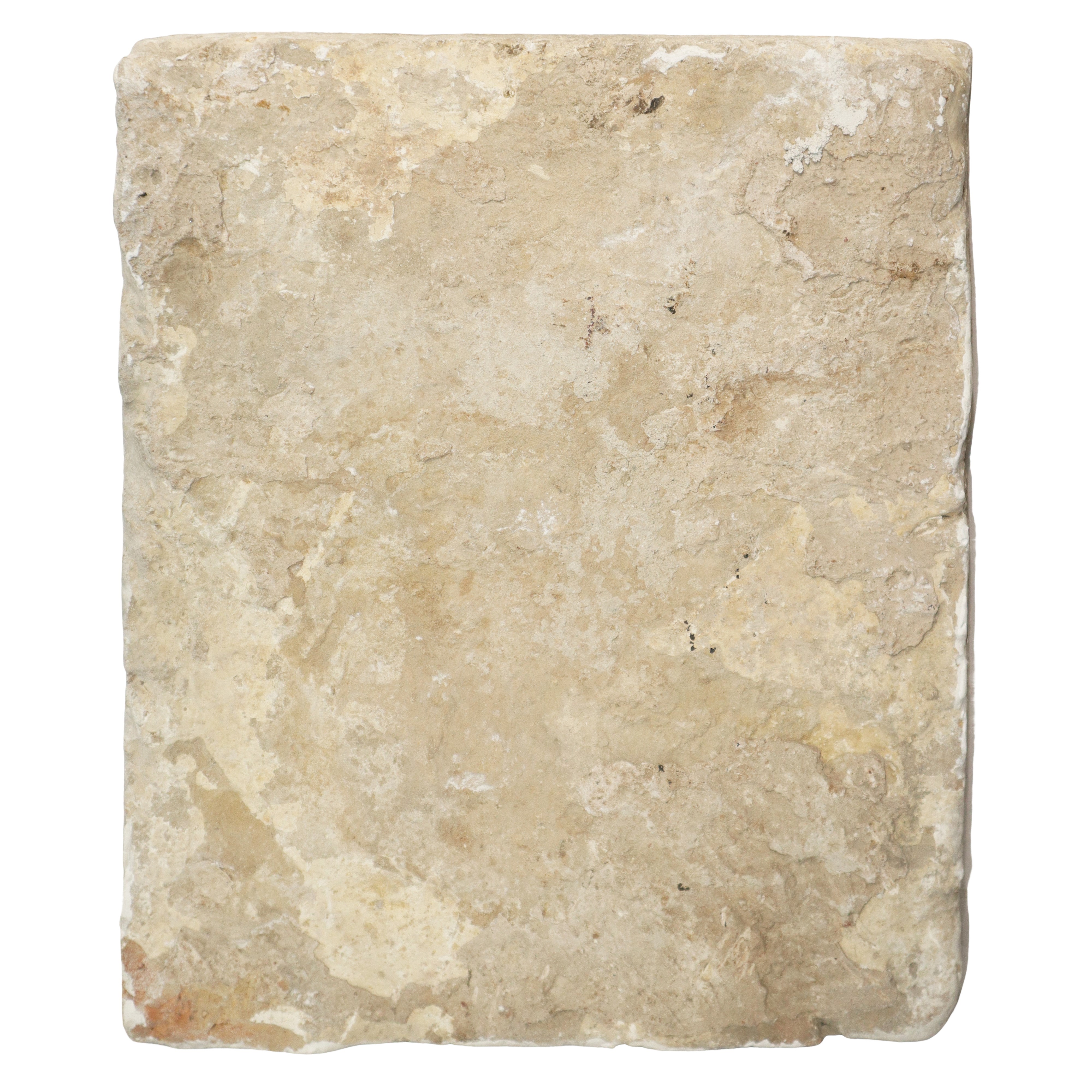 Placca Socarrat Valenziano in argilla cotta raffigurante Leone araldico