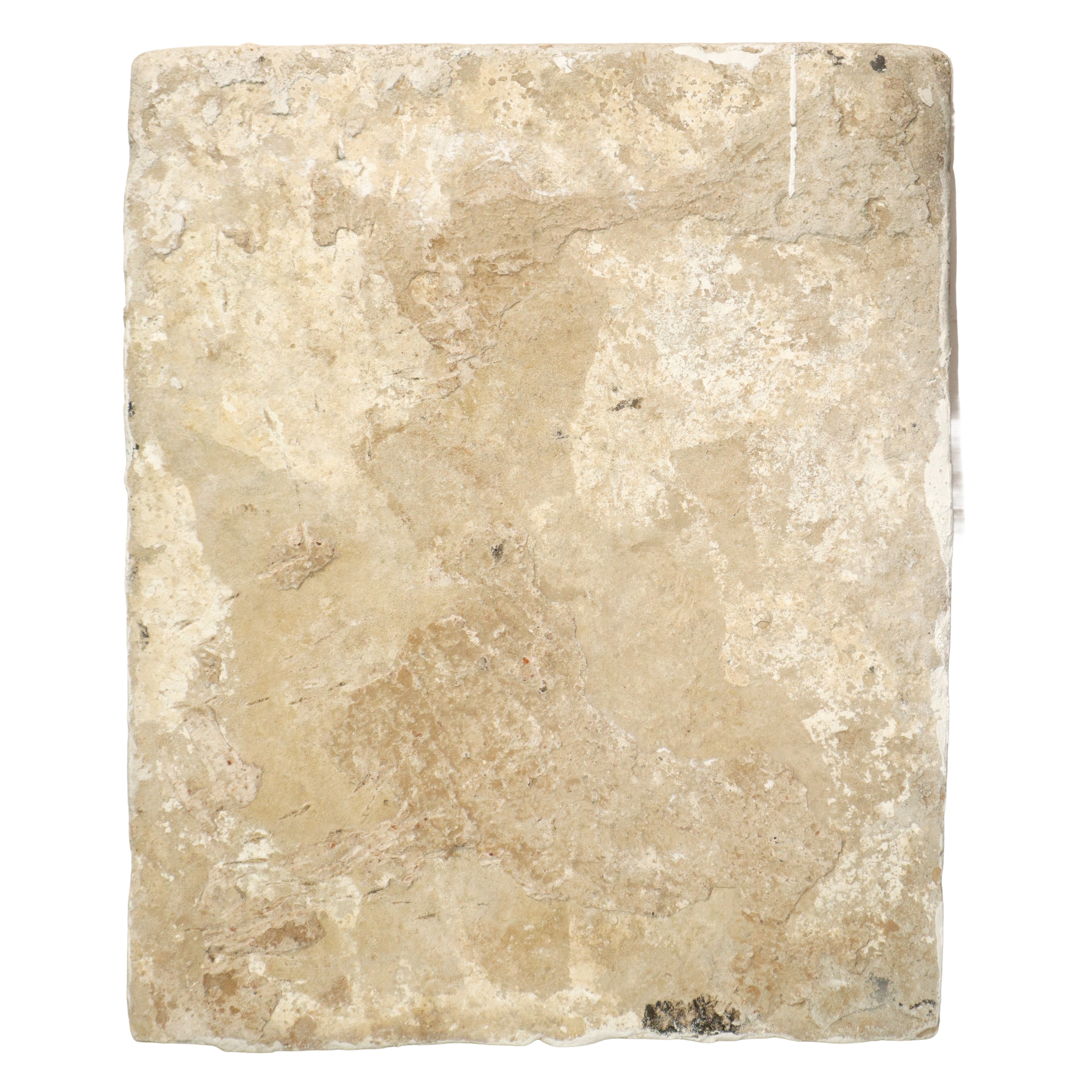 Placca Socarrat Valenziano in argilla cotta raffigurante leoni araldici, lune e fiori.