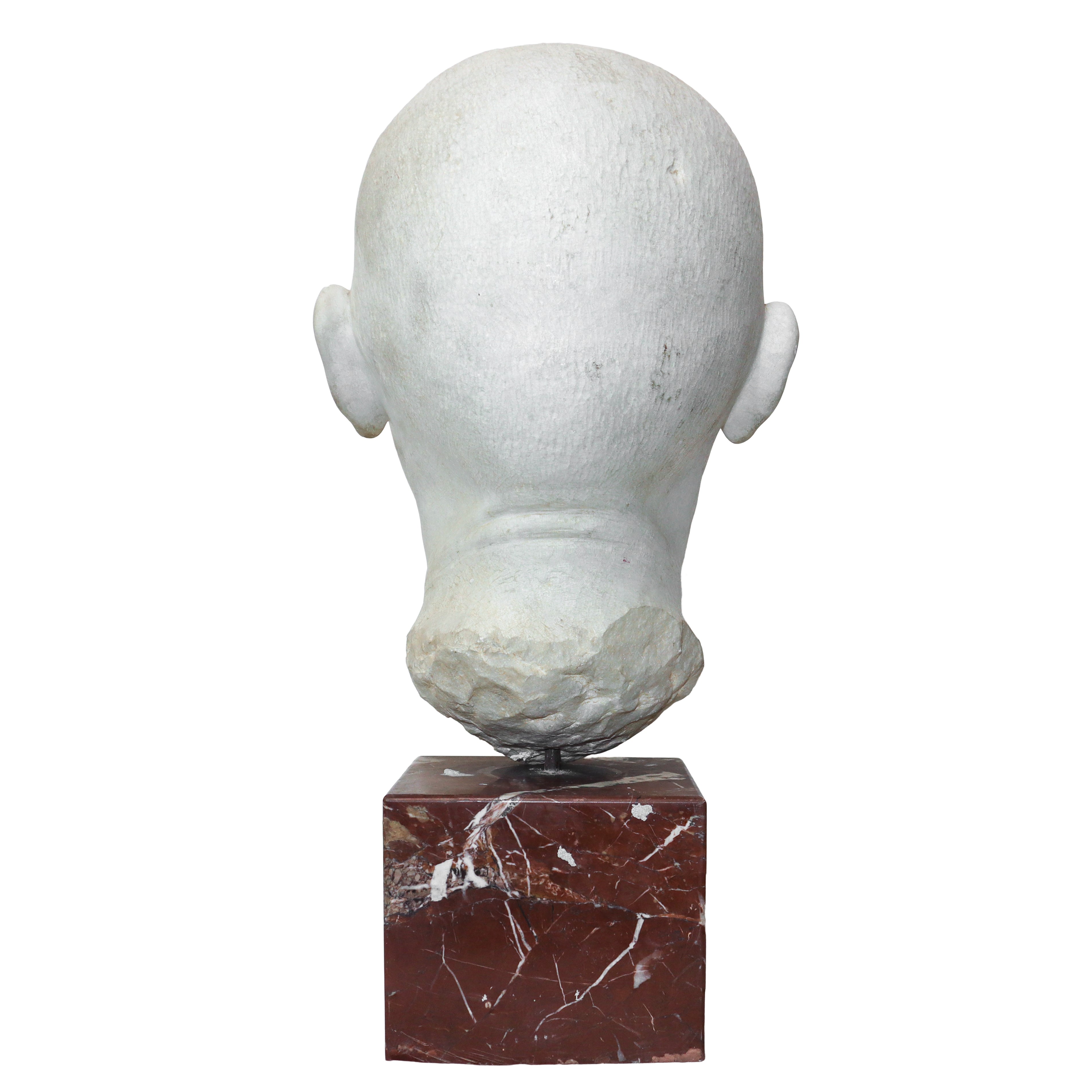 Testa di uomo, scultura in marmo bianco con base in marmo rosso