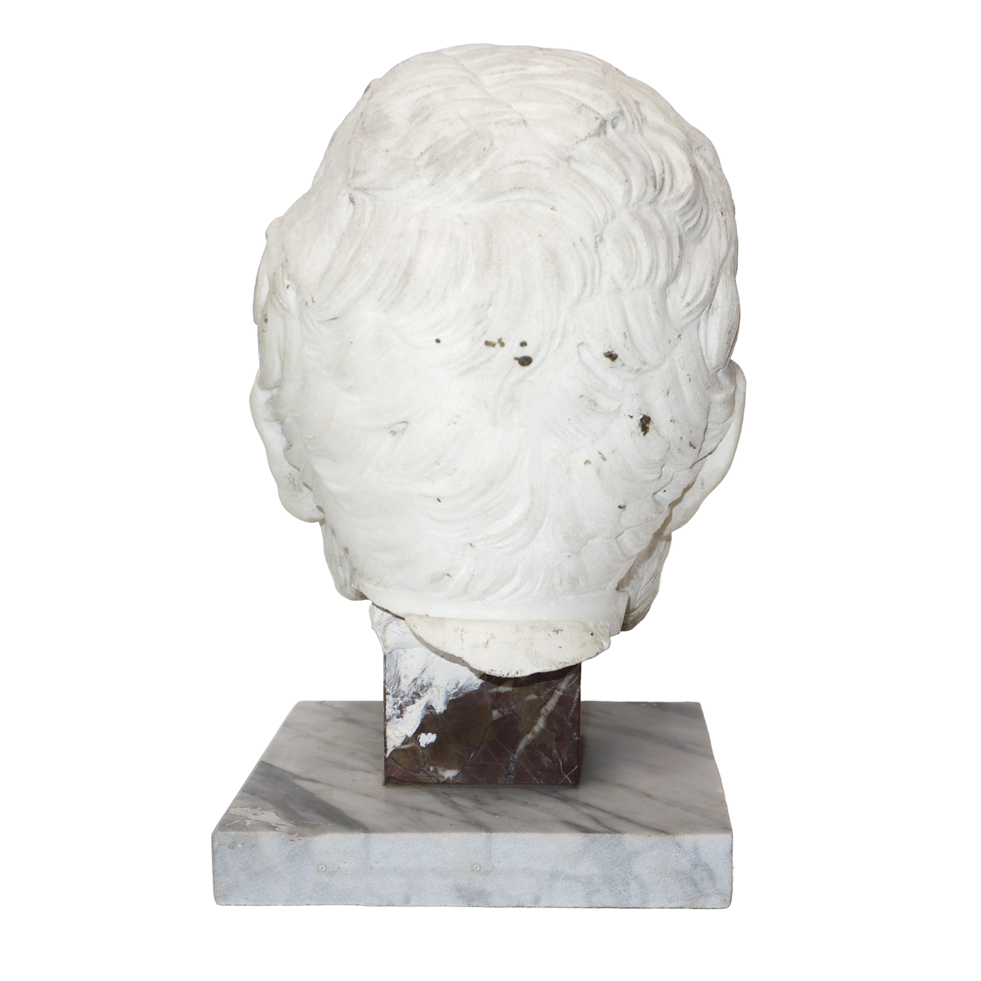 Testa di uomo, scultura in marmo bianco con base in marmo rosso e marmo grigio bardiglio