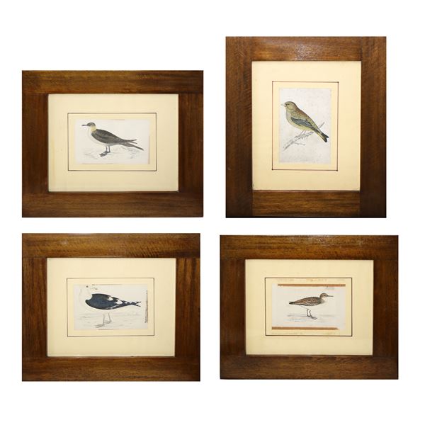 No. 4 Prints depicting birds