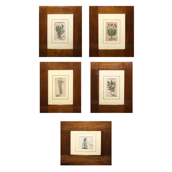 No. 5 prints with plants 