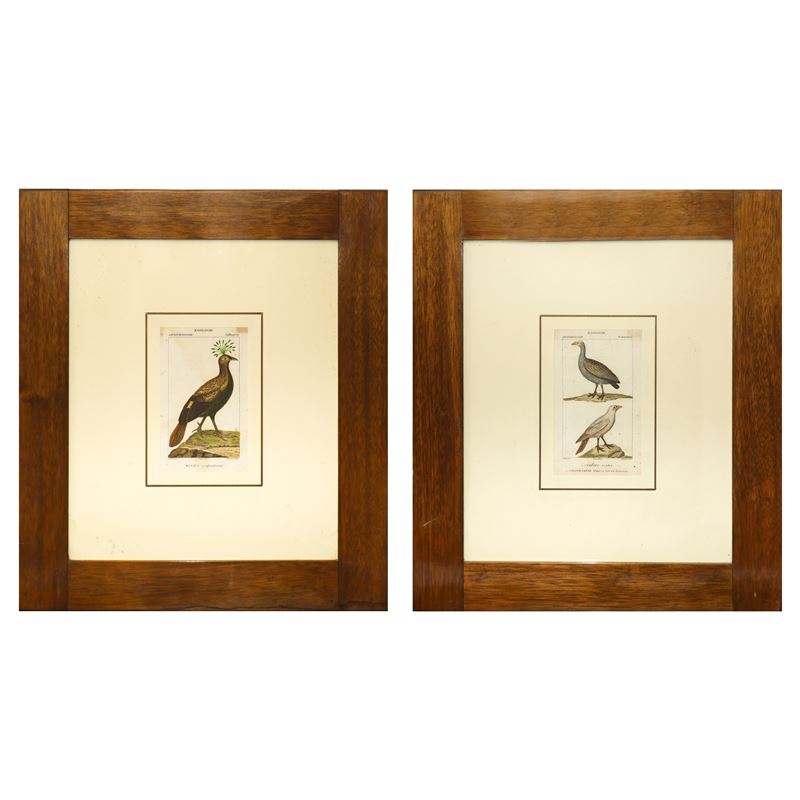 N°2 Stampe con uccelli